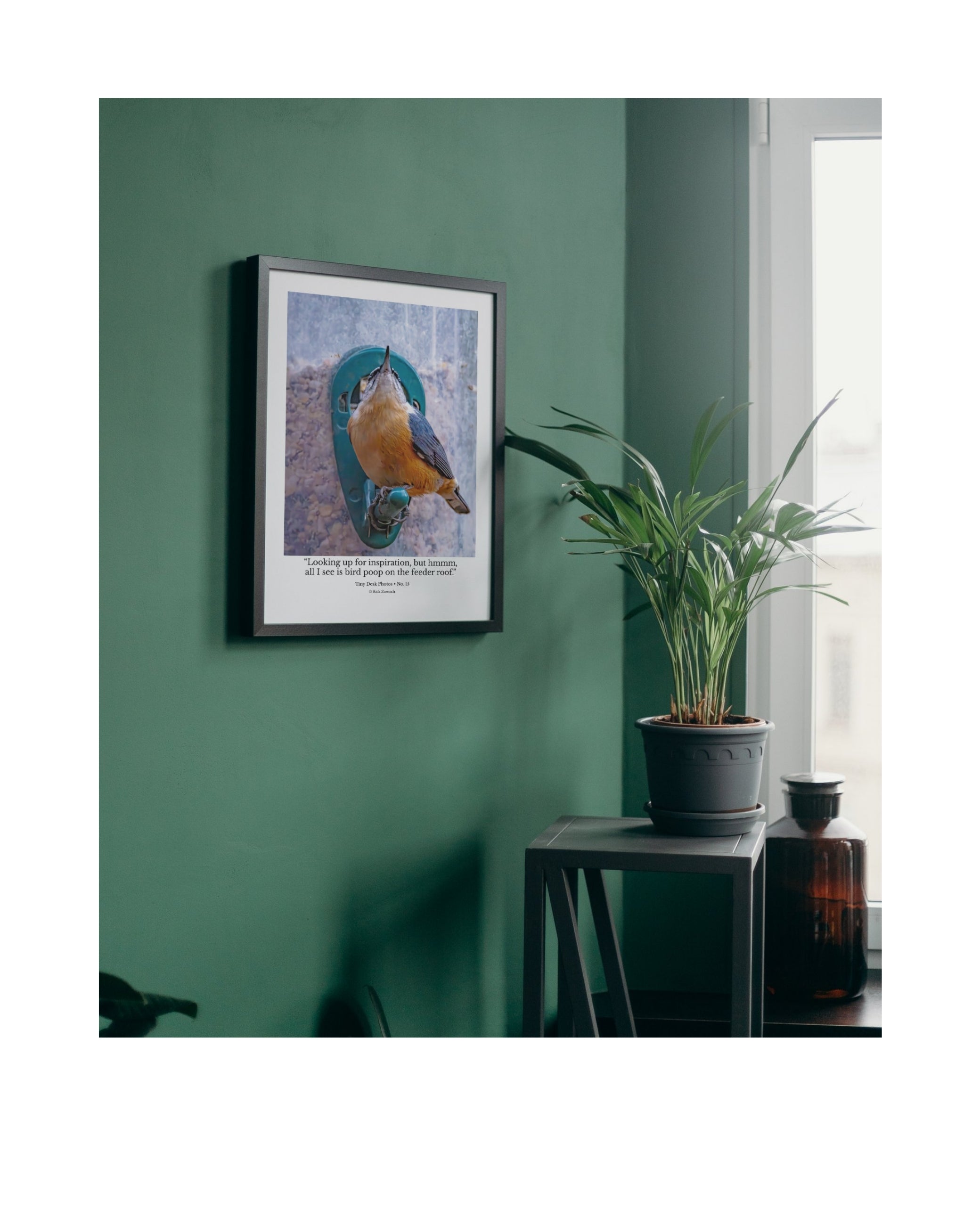 Tiny Desk Photos • No. 15 | Red-breasted Nuthatch | Perspective