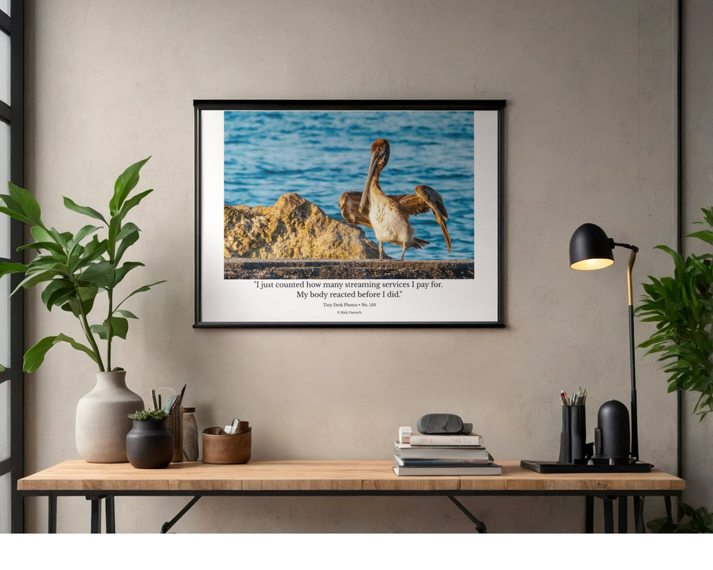 Brown Pelican Wildlife Photography Print | Tiny Desk Photos No. 150
