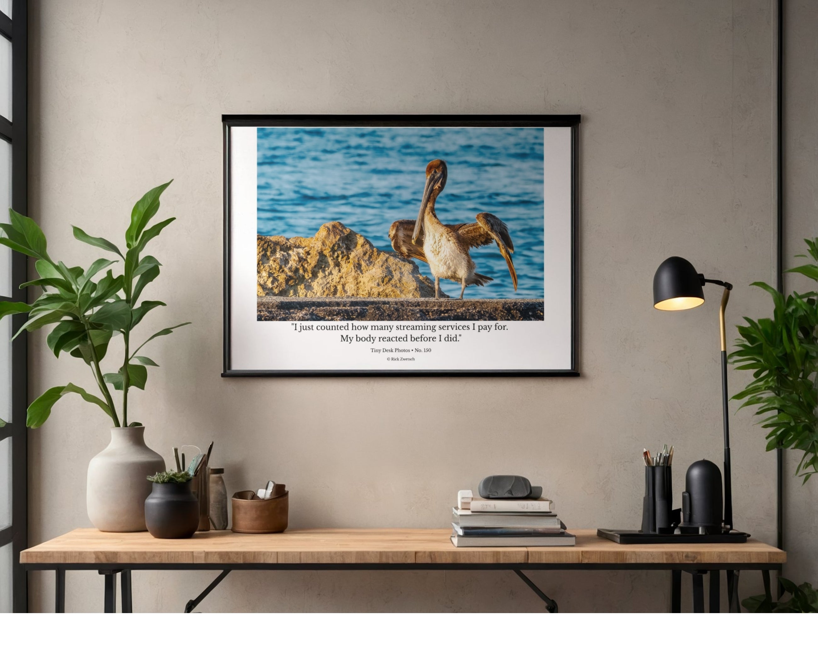 Brown Pelican Wildlife Photography Print | Tiny Desk Photos No. 150