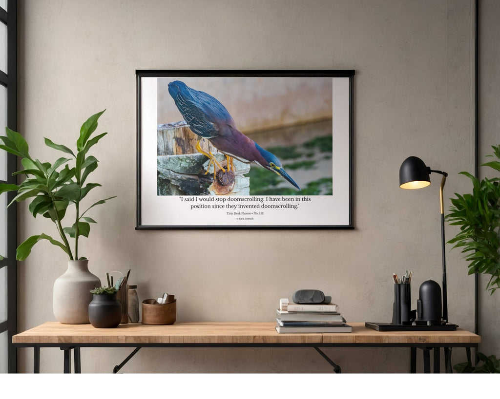Green Heron Wildlife Photography Print | Tiny Desk Photos No. 152
