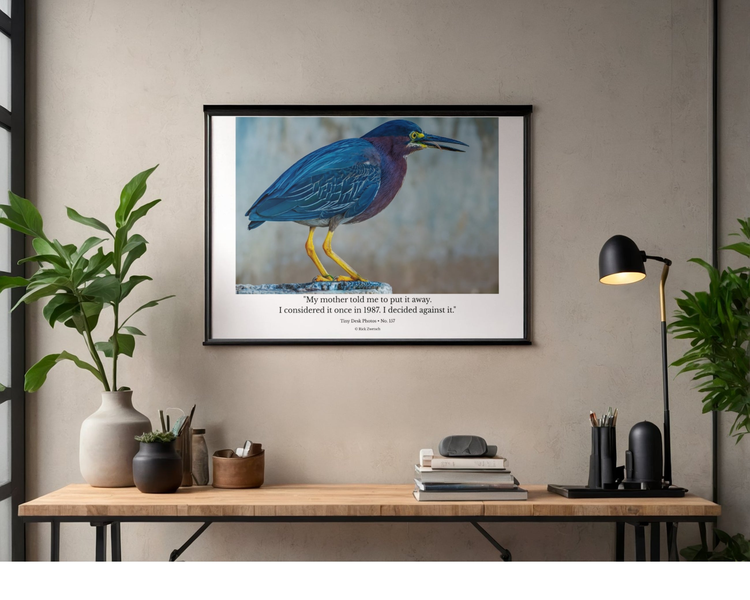 Green Heron Wildlife Photography Print | Tiny Desk Photos No. 157