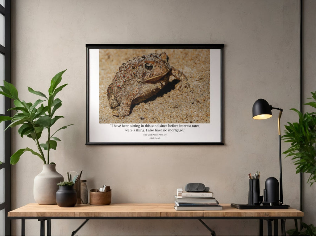 Toad Wildlife Photography Print | Tiny Desk Photos No. 158