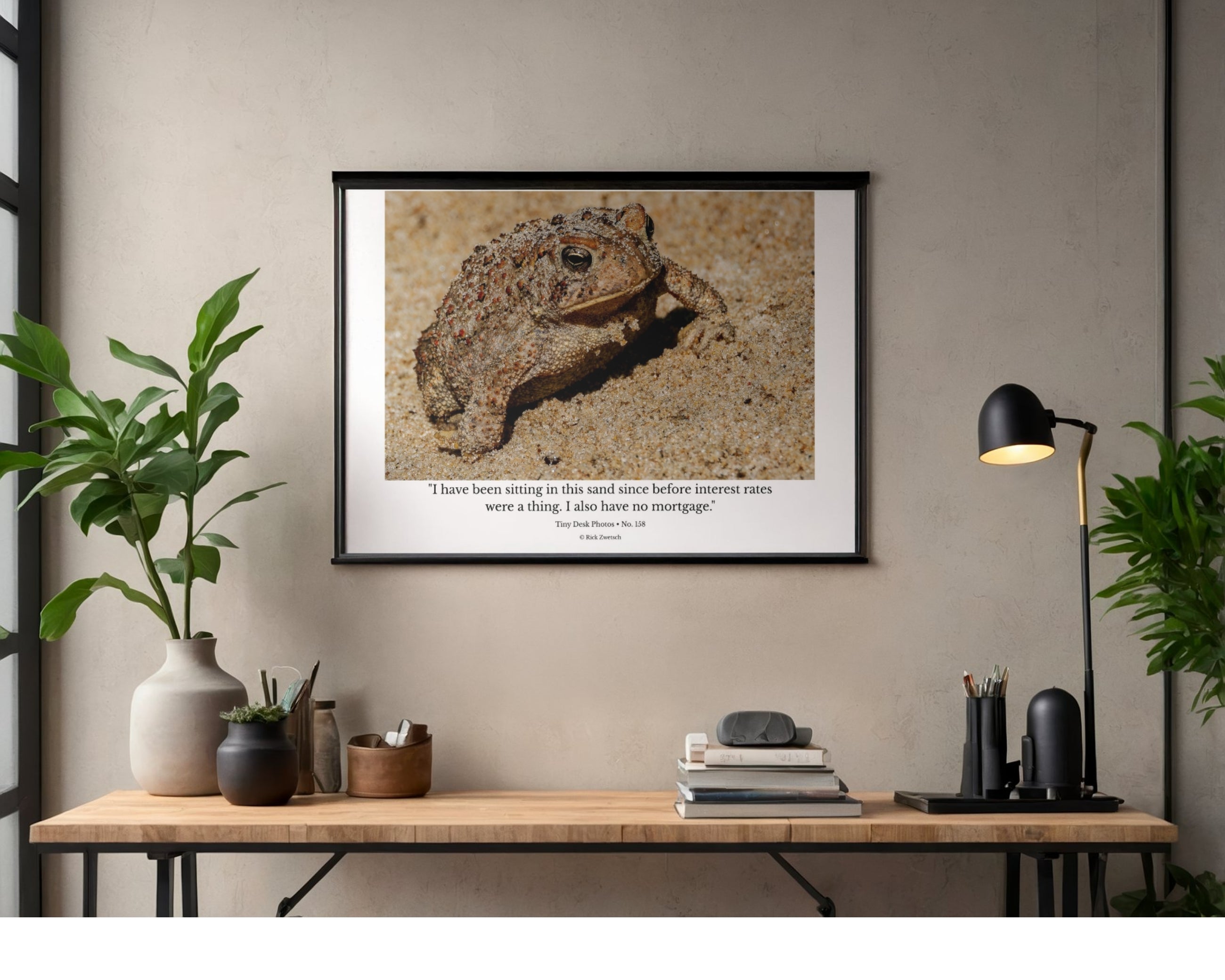 Toad Wildlife Photography Print | Tiny Desk Photos No. 158