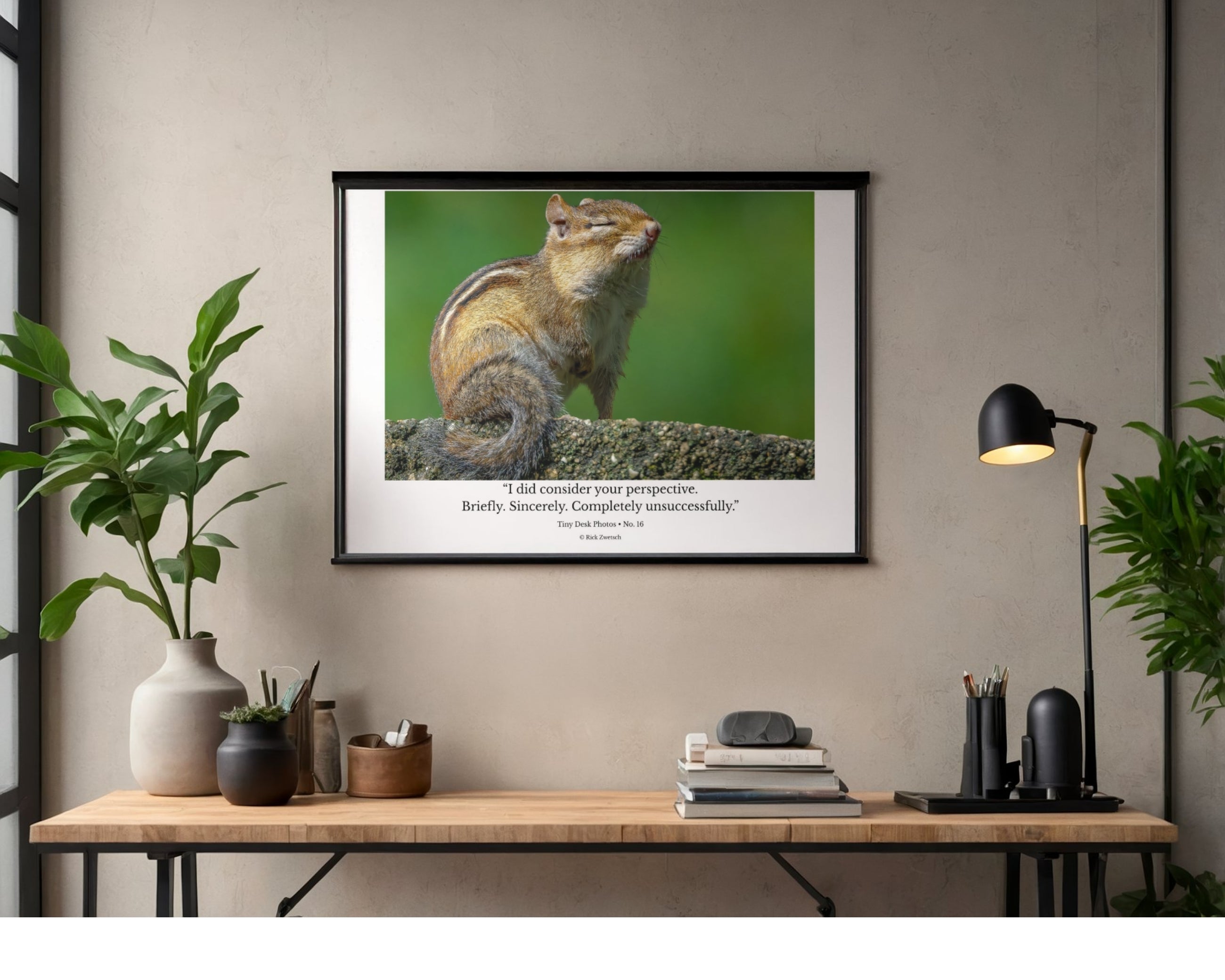 Tiny Desk Photos • No. 16 | Eastern Chipmunk | Dismissal