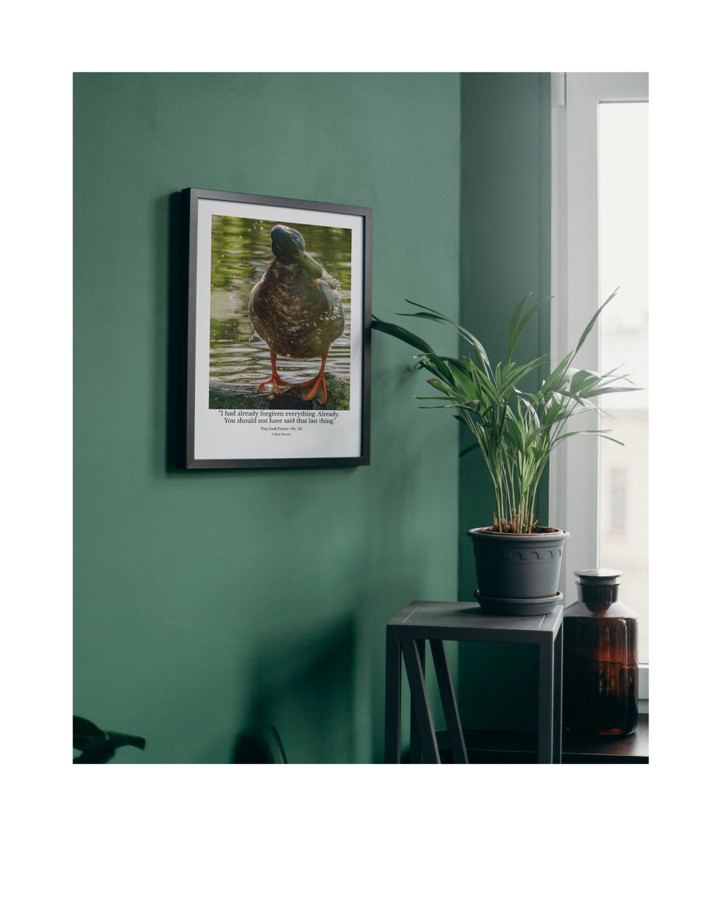 Mallard Wildlife Photography Print | Tiny Desk Photos No. 161