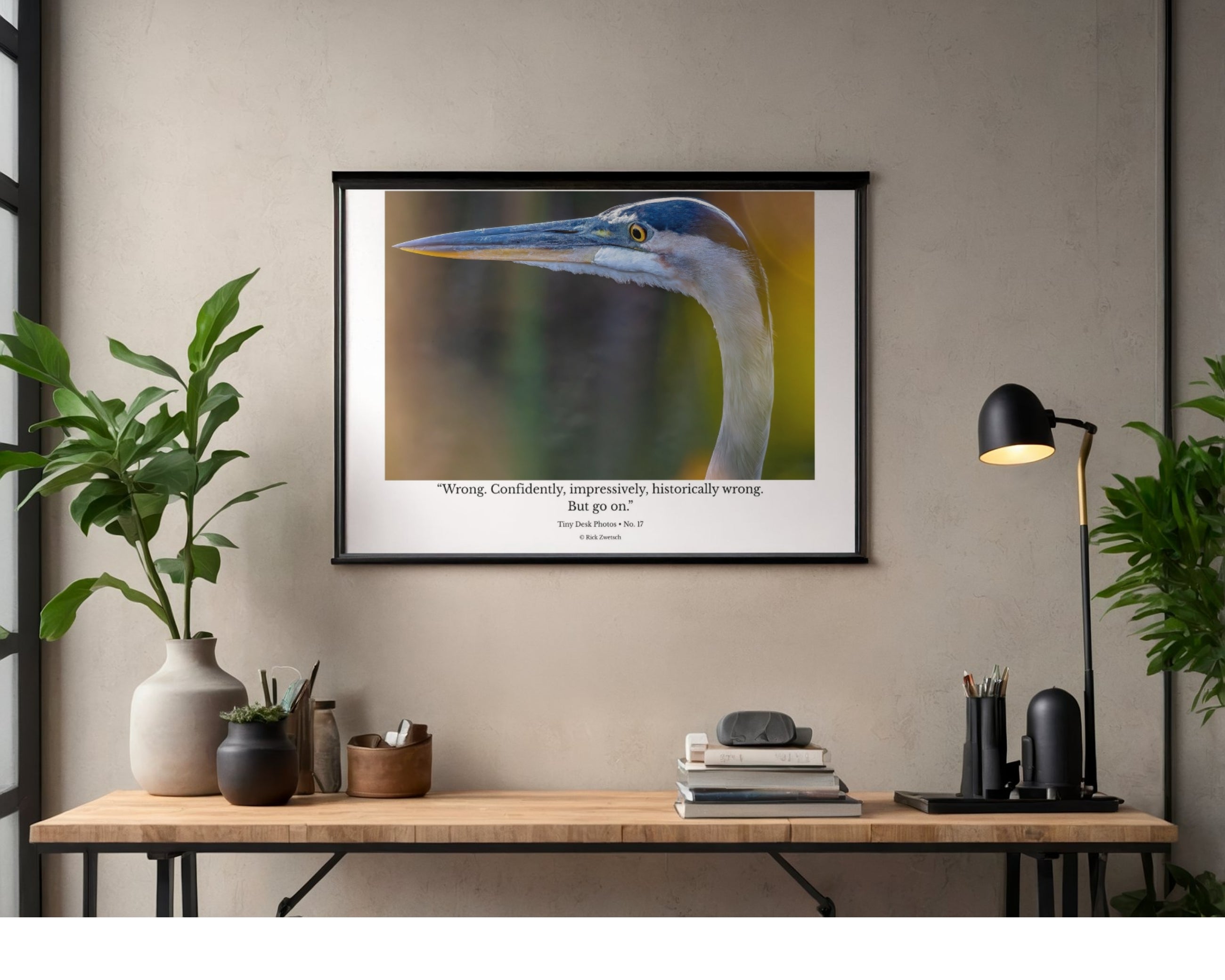 Tiny Desk Photos • No. 17 | Great Blue Heron | Judgment