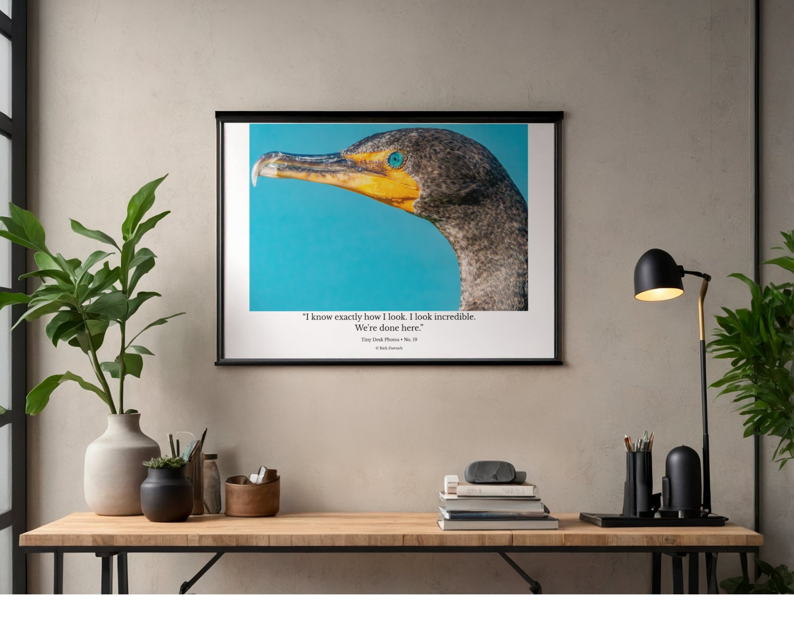 Tiny Desk Photos • No. 19 | Double-crested Cormorant | Confidence