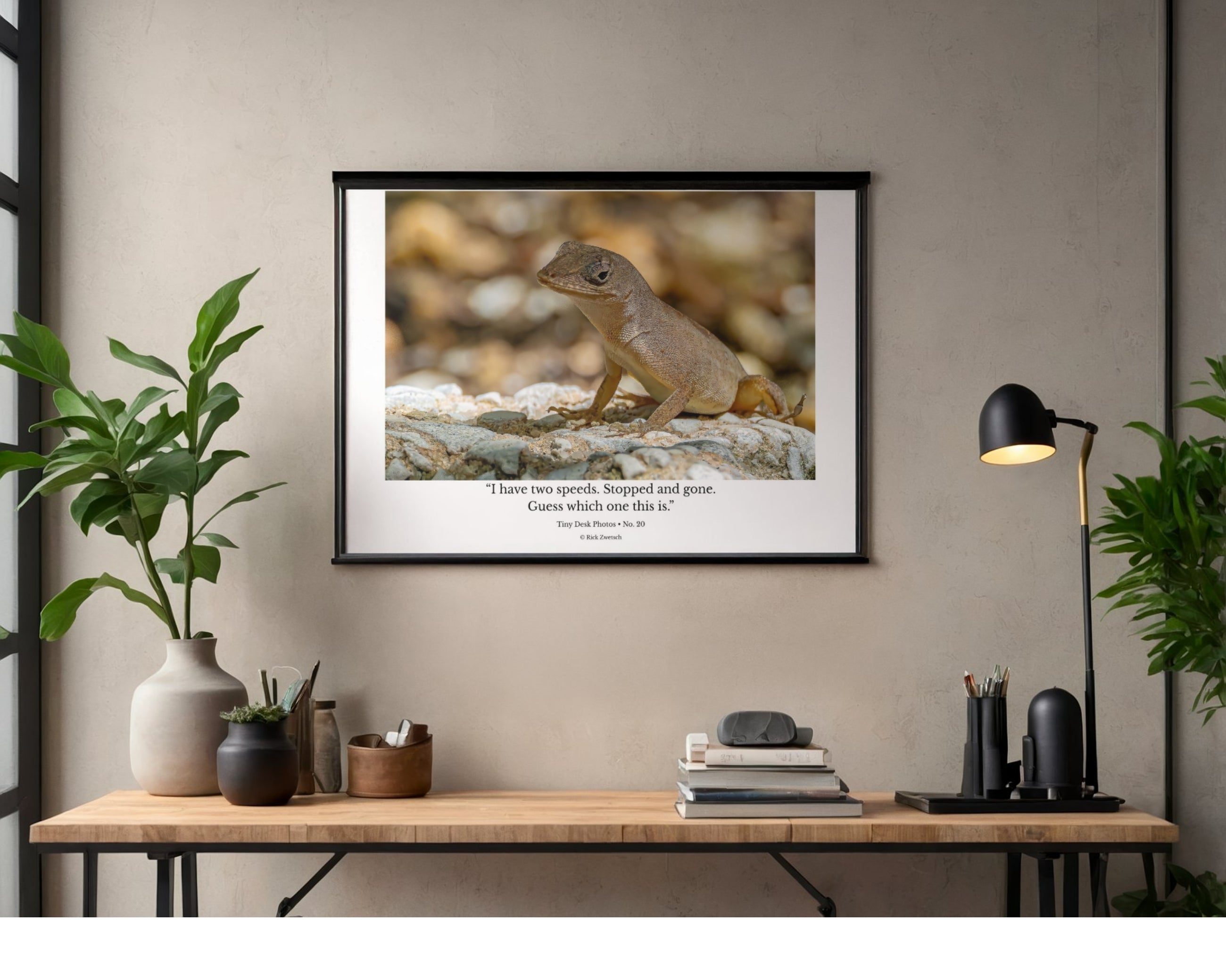 Anole Lizard Wildlife Photography Print | Tiny Desk Photos No. 20