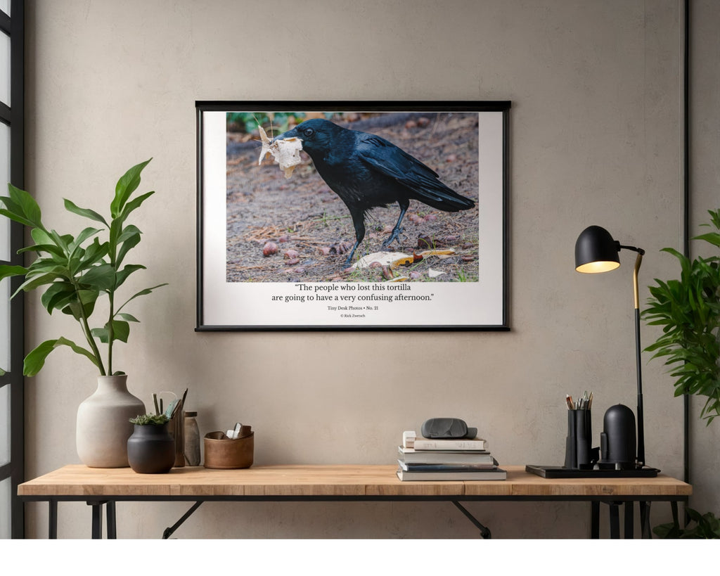 American Crow Wildlife Photography Print | Tiny Desk Photos No. 21