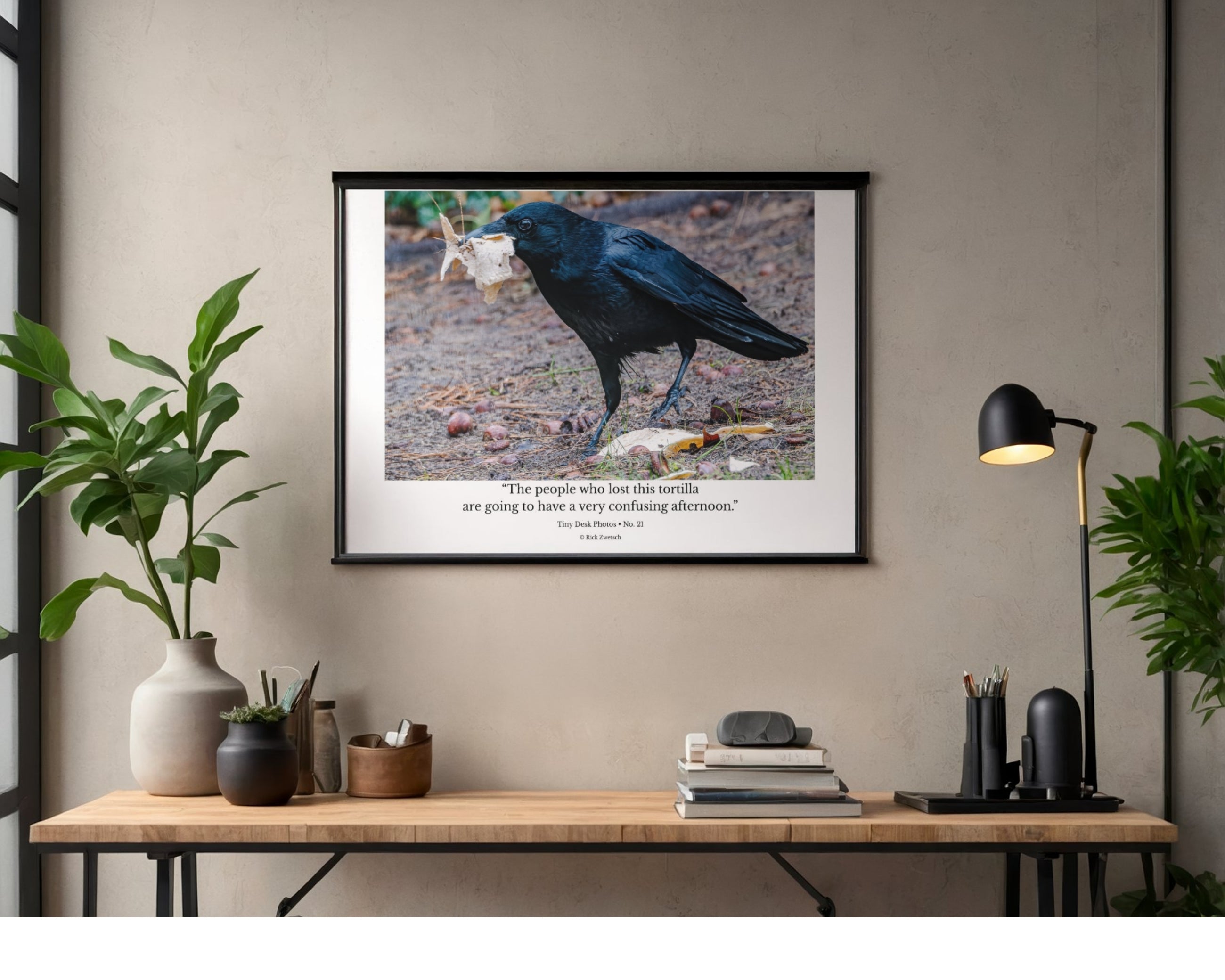 American Crow Wildlife Photography Print | Tiny Desk Photos No. 21