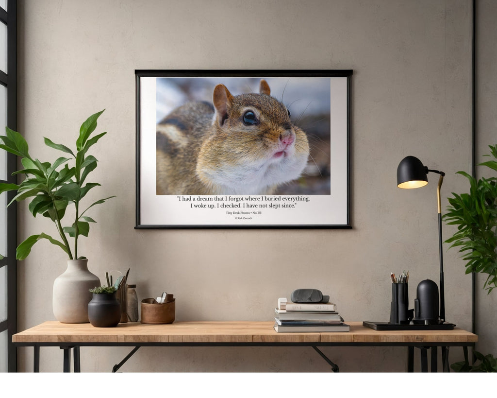 Eastern Chipmunk Wildlife Photography Print | Tiny Desk Photos No. 23