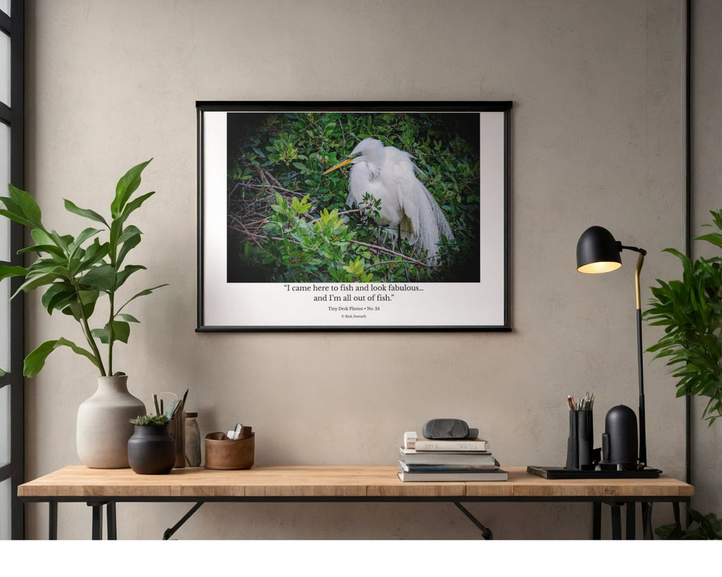 Great Egret Wildlife Photography Print | Tiny Desk Photos No. 24