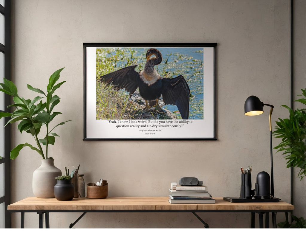 Double-crested Cormorant Wildlife Photography Print | Tiny Desk Photos No. 25