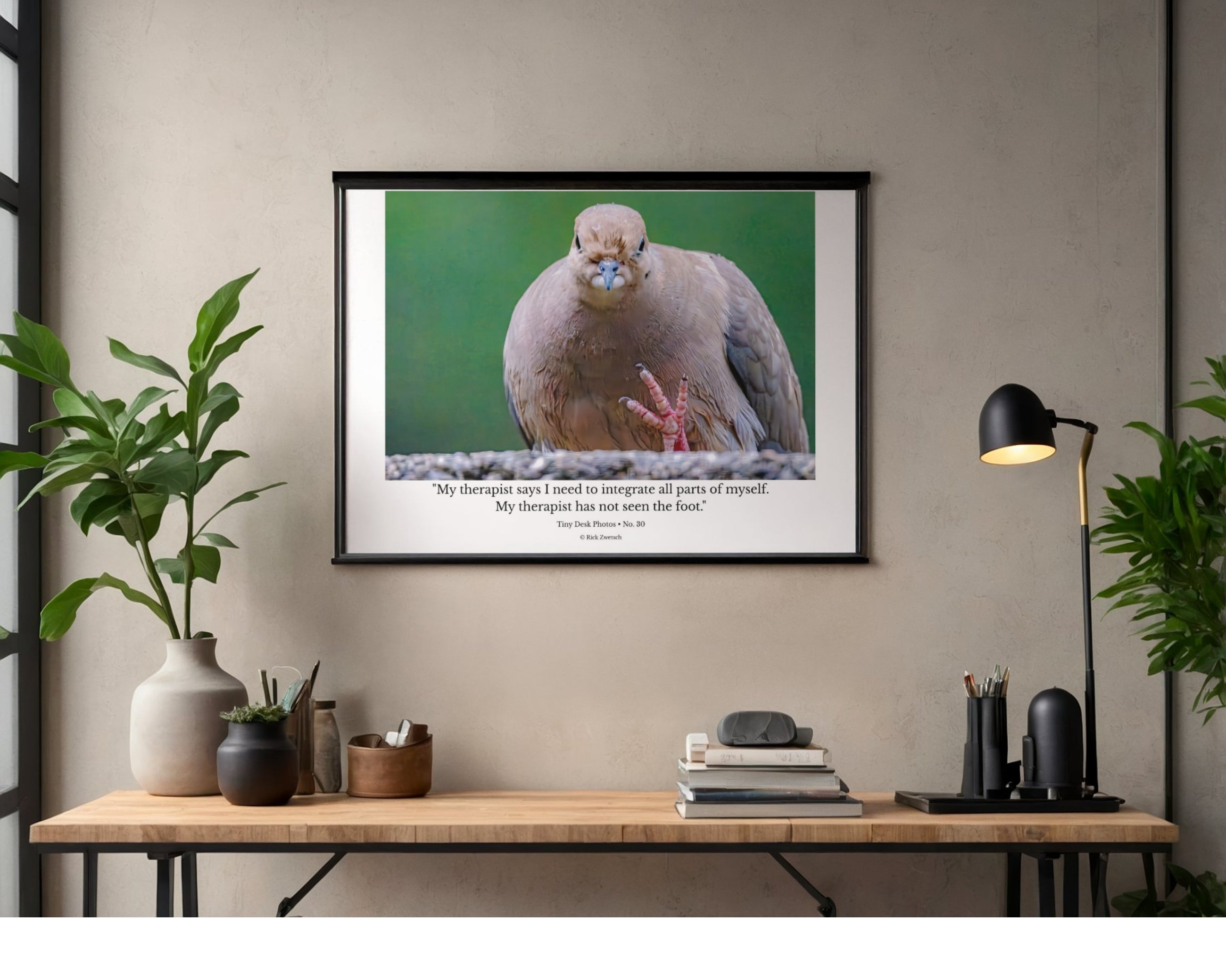 Eurasian Collared-Dove Wildlife Photography Print | Tiny Desk Photos No. 30