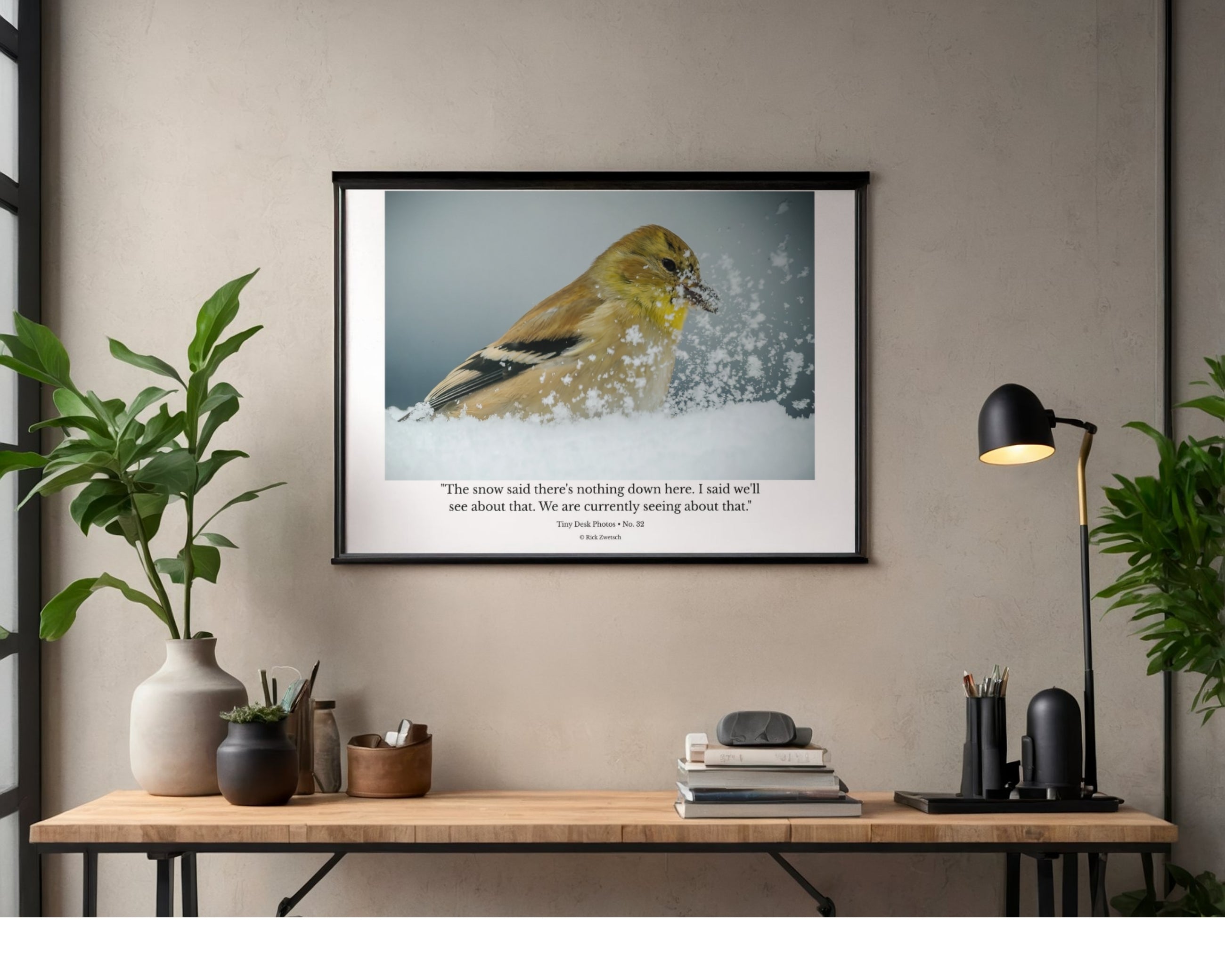 American Goldfinch Snow Wildlife Photography Print | Tiny Desk Photos No. 32