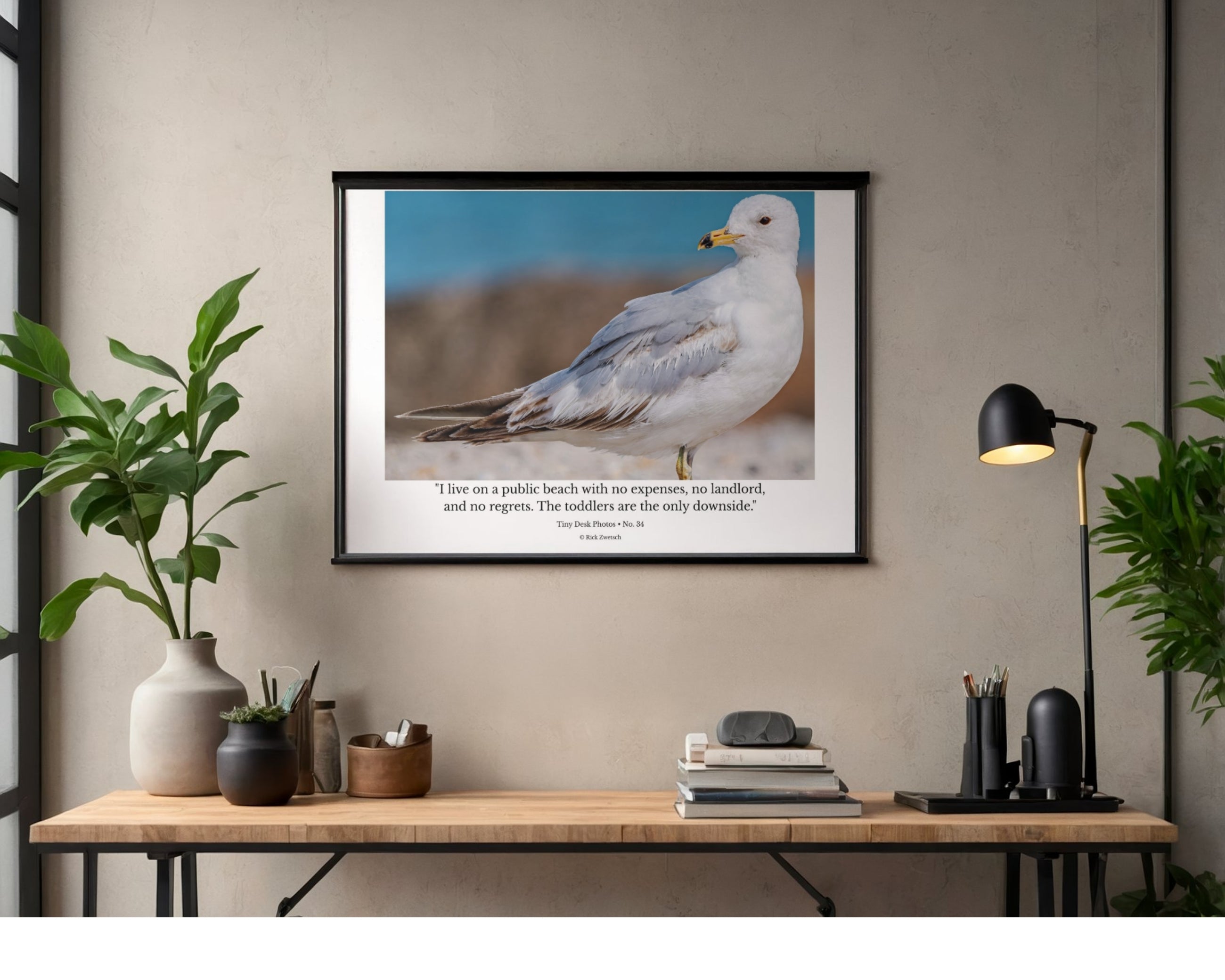 Ring-billed Gull Beach Profile Wildlife Photography Print | Tiny Desk Photos No. 34