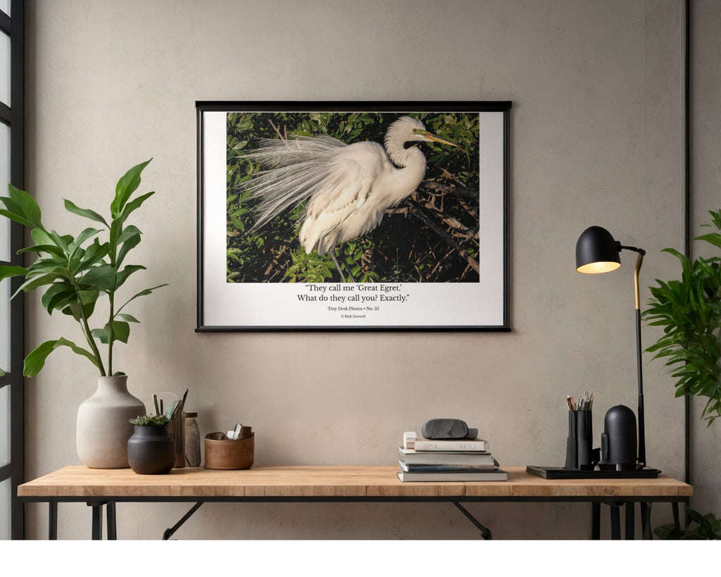 Great Egret Breeding Plumage Wildlife Photography Print | Tiny Desk Photos No. 35
