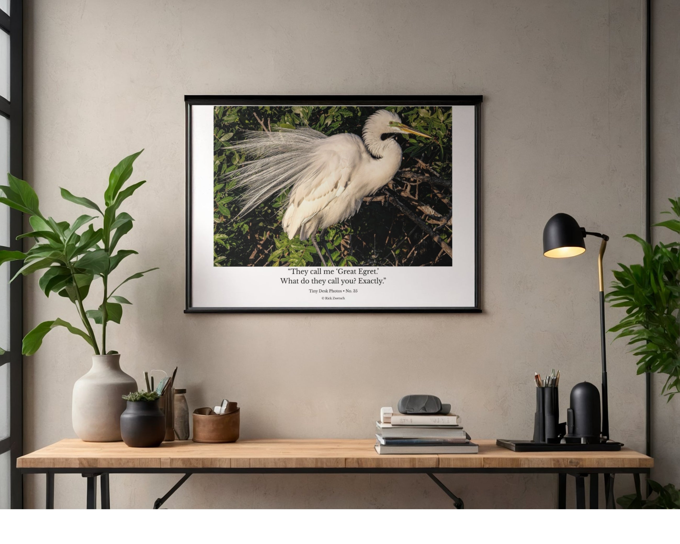 Great Egret Breeding Plumage Wildlife Photography Print | Tiny Desk Photos No. 35