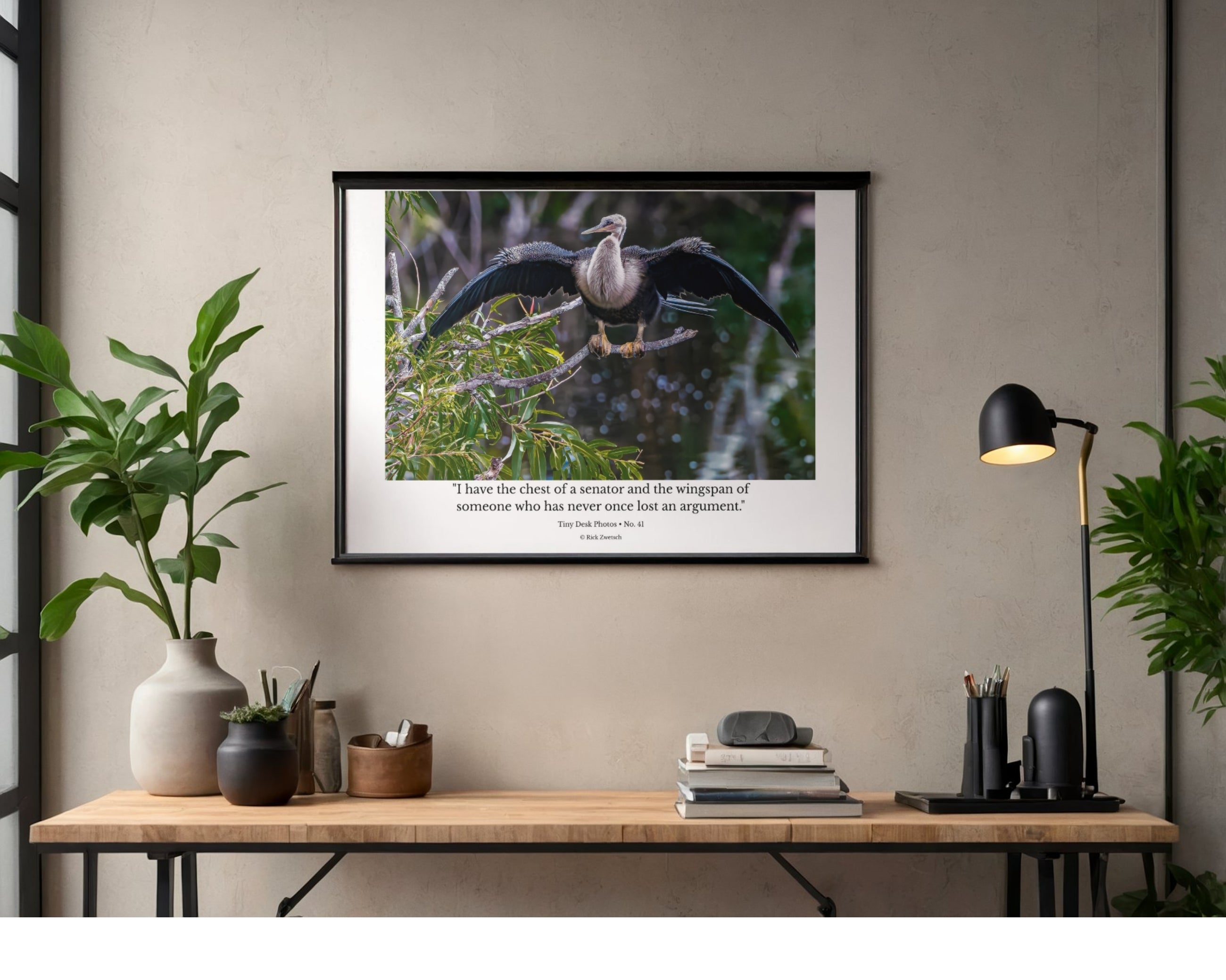Anhinga Wings Outstretched Wildlife Photography Print | Tiny Desk Photos No. 41