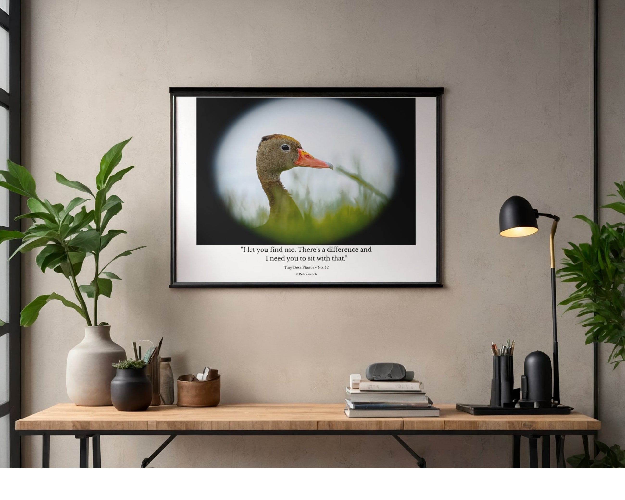 Black Bellied Whistling Duck Portrait Wildlife Photography Print | Tiny Desk Photos No. 42