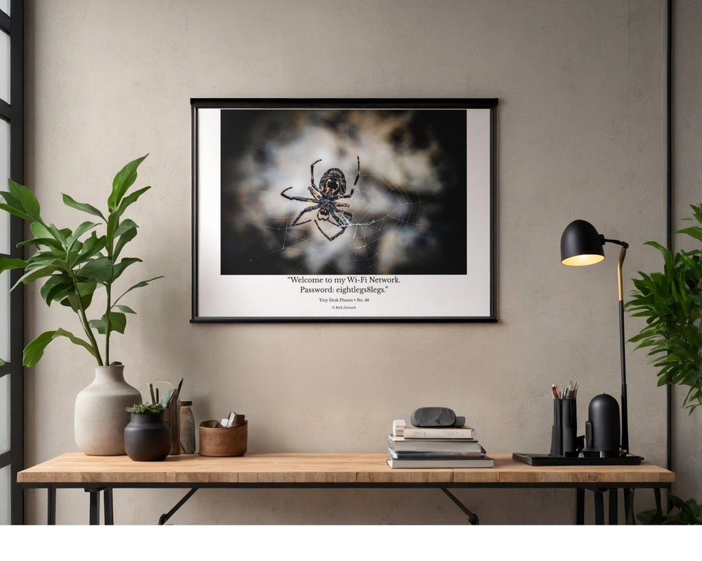 Orb Weaver Spider Web Wildlife Photography Print | Tiny Desk Photos No. 46