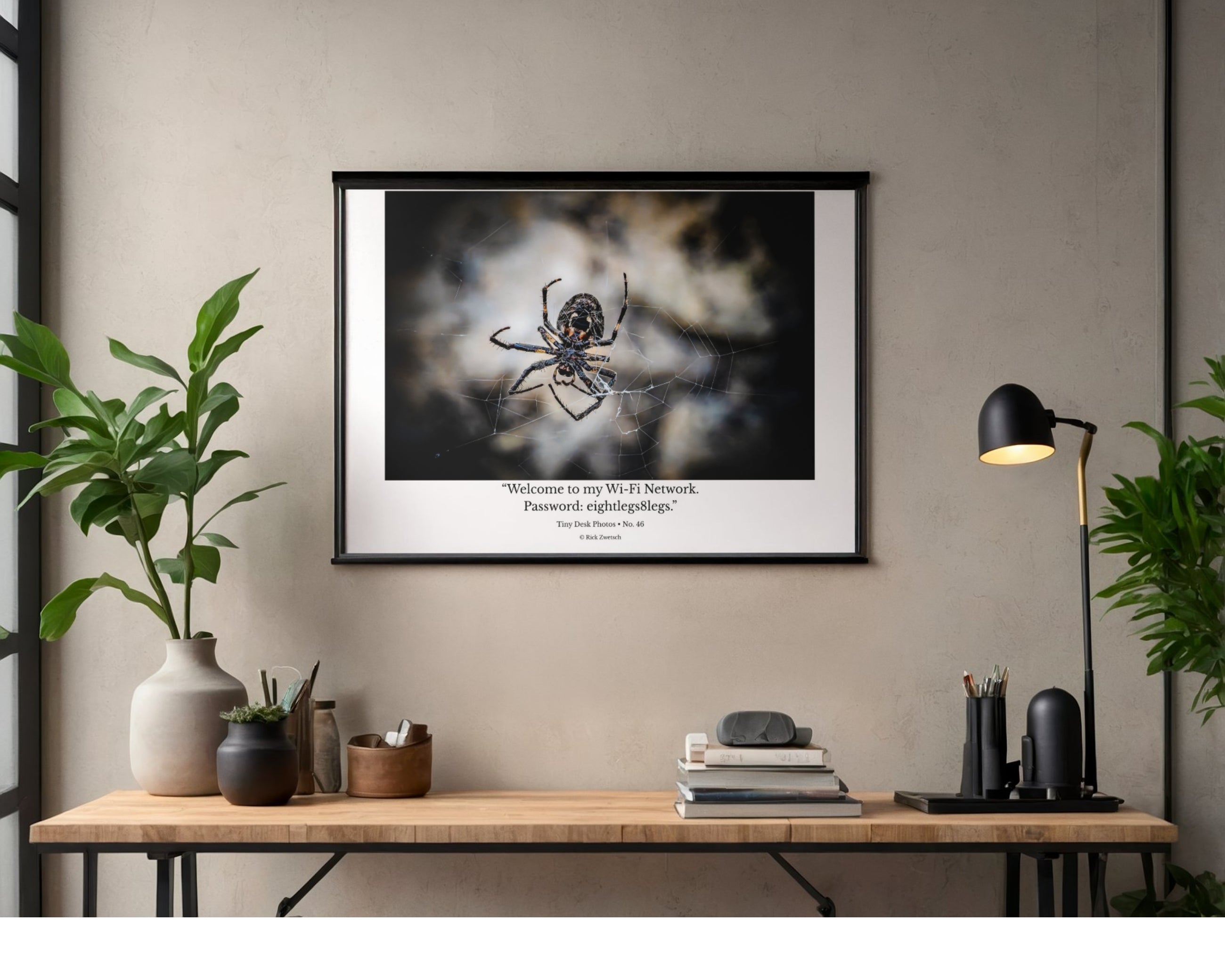 Orb Weaver Spider Web Wildlife Photography Print | Tiny Desk Photos No. 46