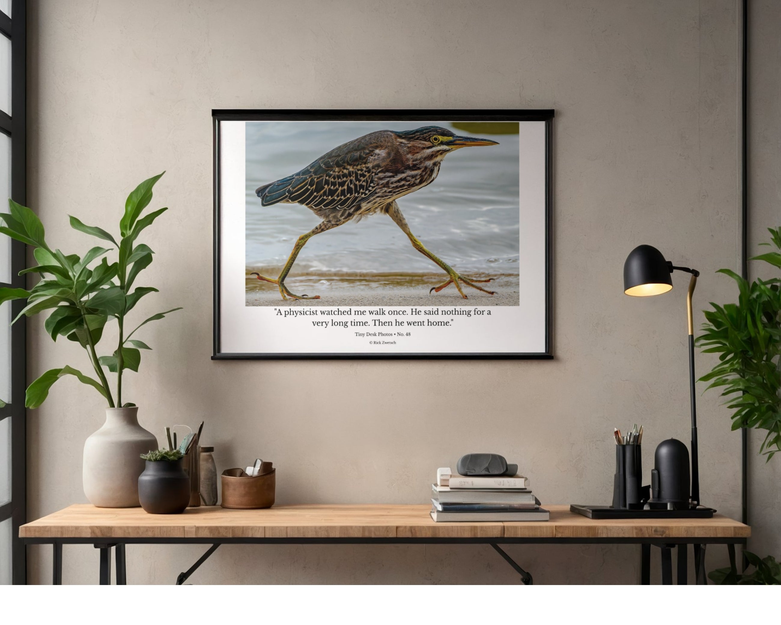 Green Heron Walking Wildlife Photography Print | Tiny Desk Photos No. 48