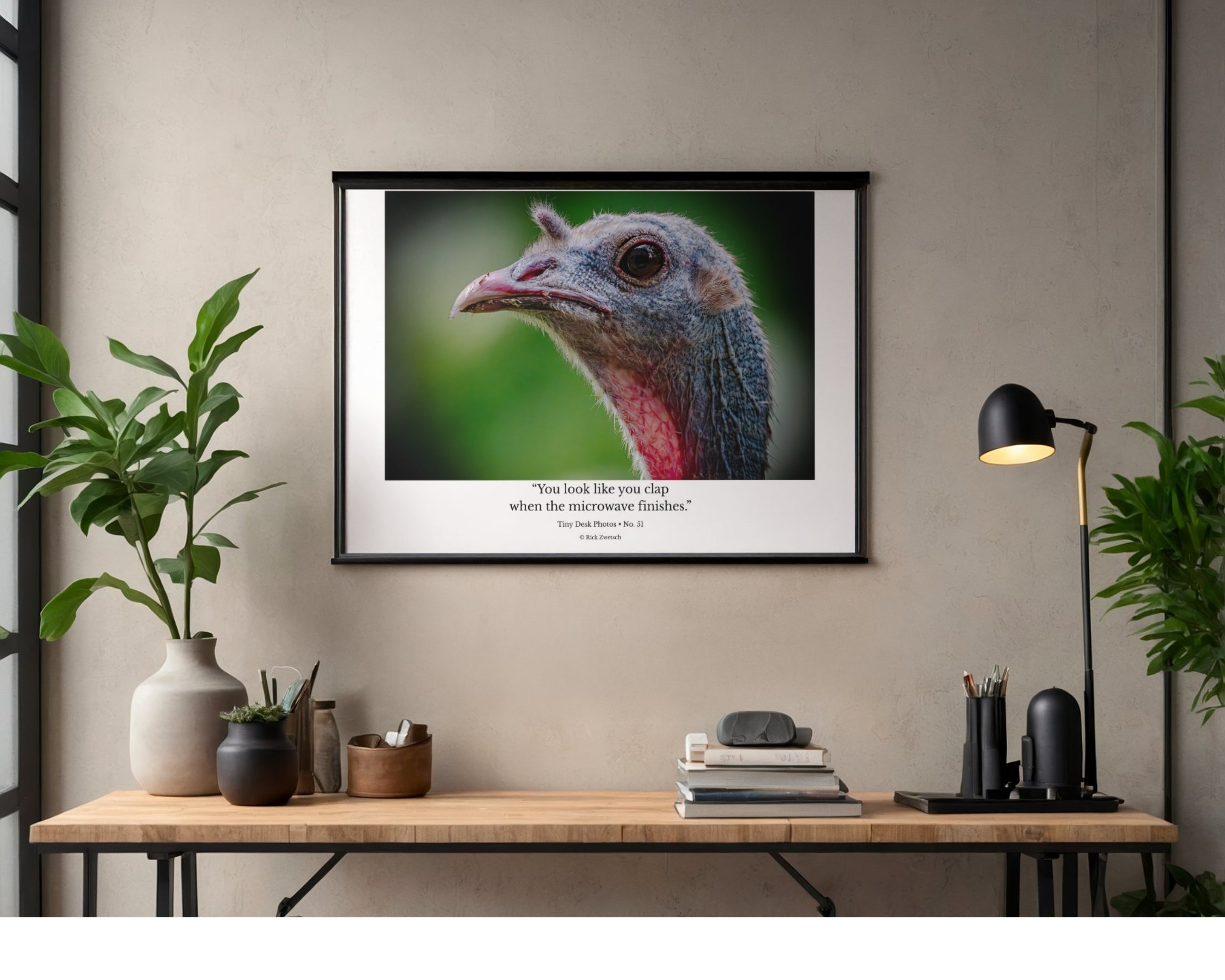 Wild Turkey Close Up Portrait Wildlife Photography Print | Tiny Desk Photos No. 51