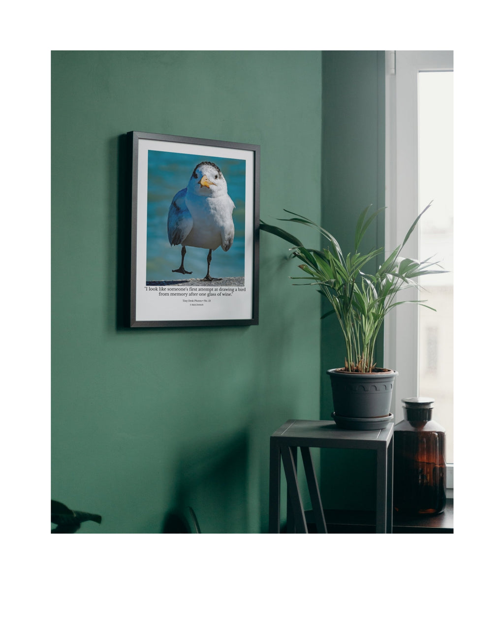 Royal Tern Standing Portrait Wildlife Photography Print | Tiny Desk Photos No. 55