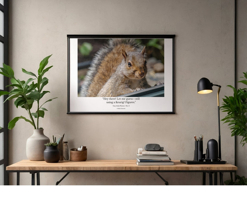 Tiny Desk Photos • No. 6 | Eastern Gray Squirrel | Disdain