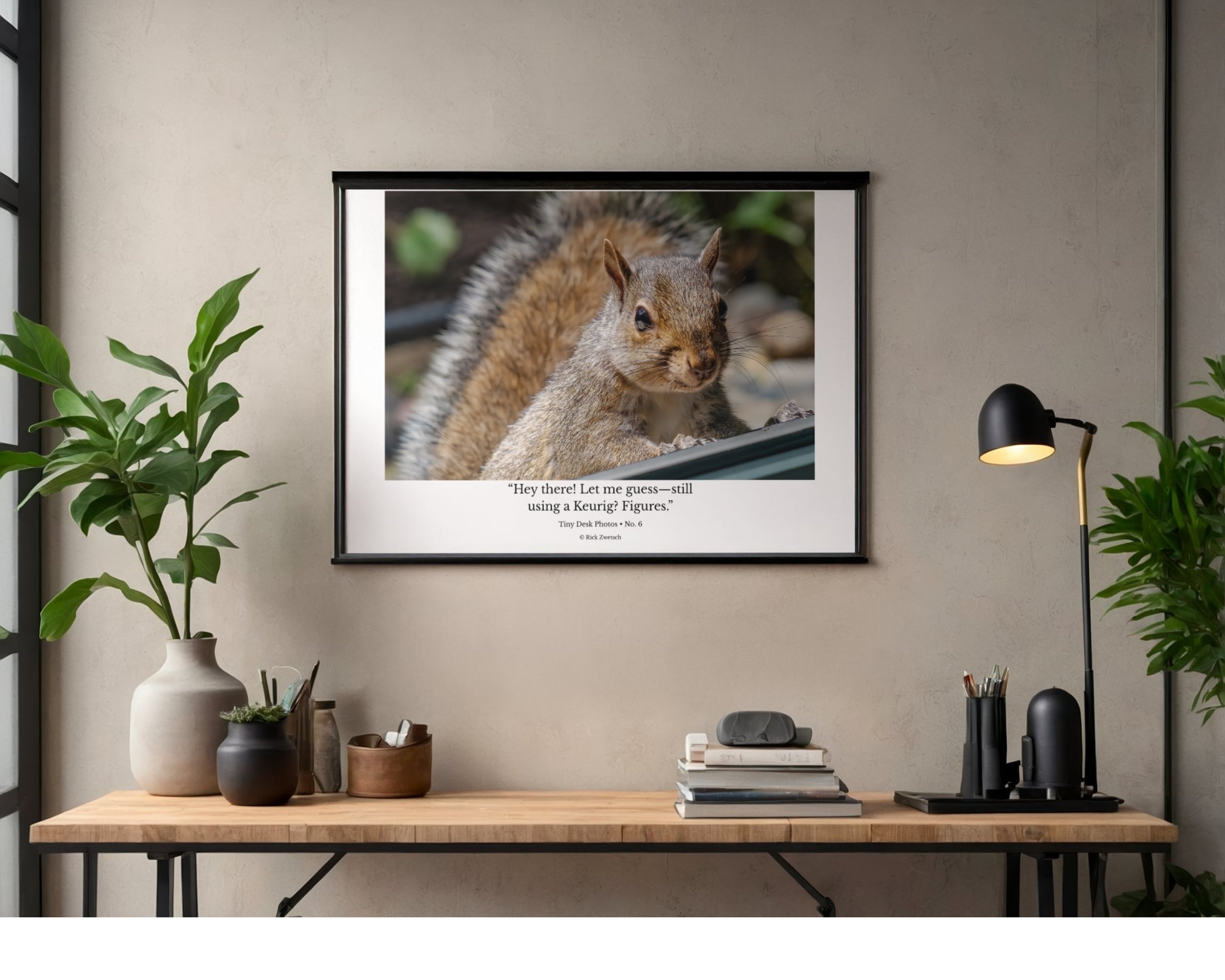 Tiny Desk Photos • No. 6 | Eastern Gray Squirrel | Disdain