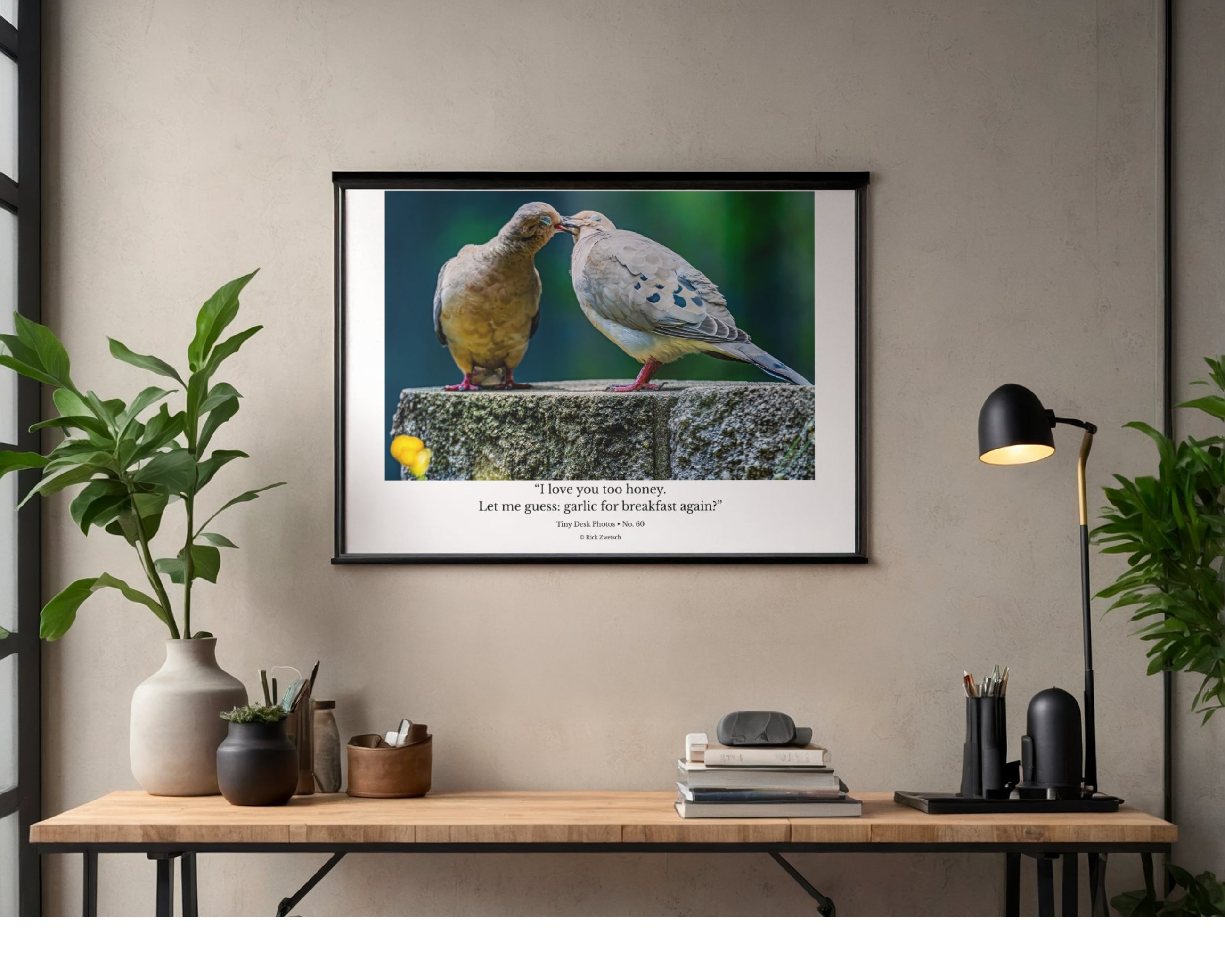 Eurasian Collared Dove Pair Wildlife Photography Print | Tiny Desk Photos No. 60