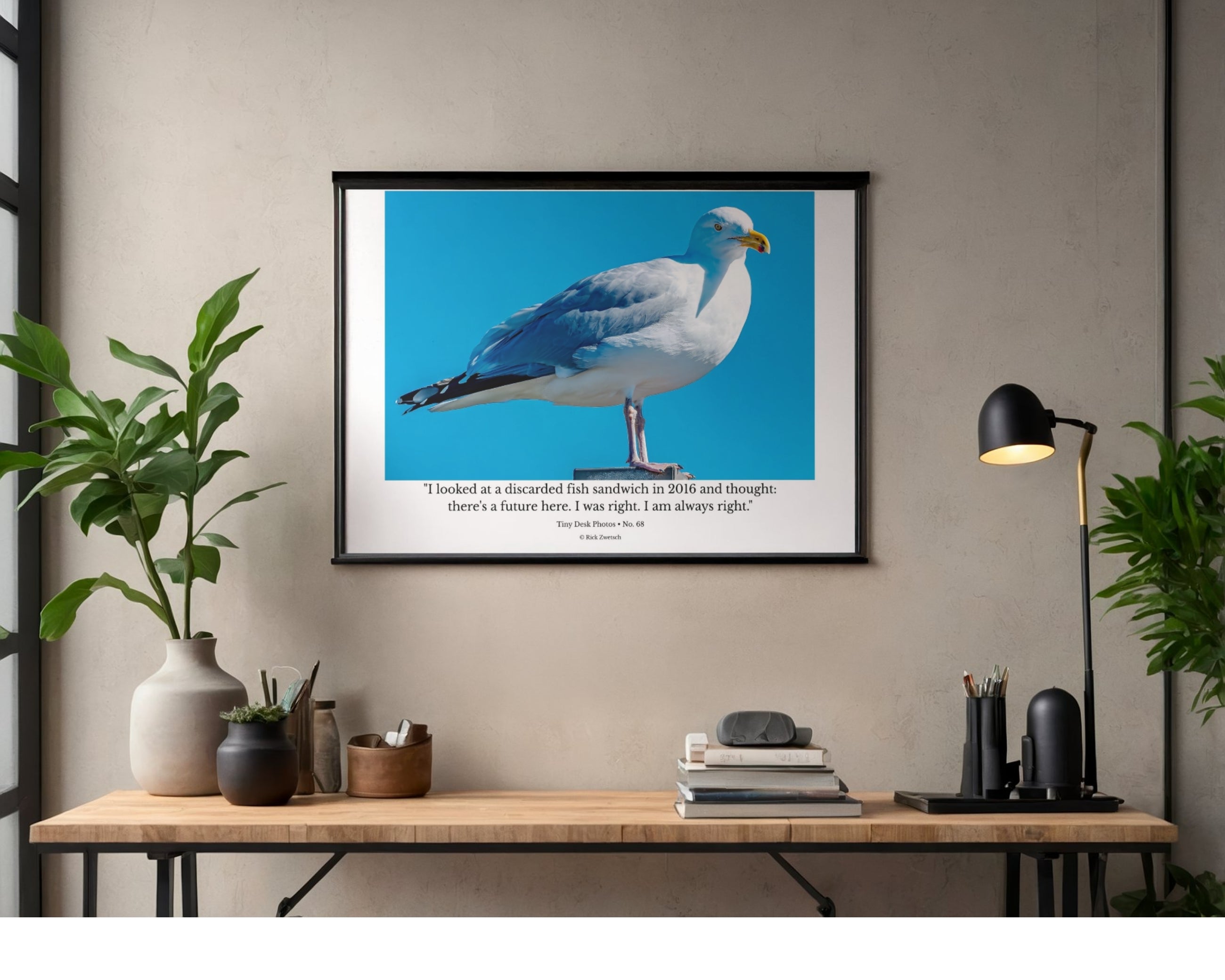 Ring-billed Gull Perched Profile Wildlife Photography Print | Tiny Desk Photos No. 68