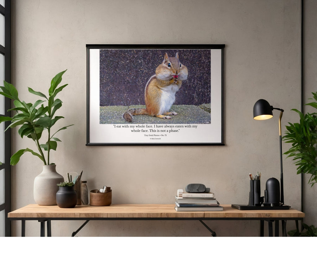 Chipmunk Eating Close Up Wildlife Photography Print | Tiny Desk Photos No. 72