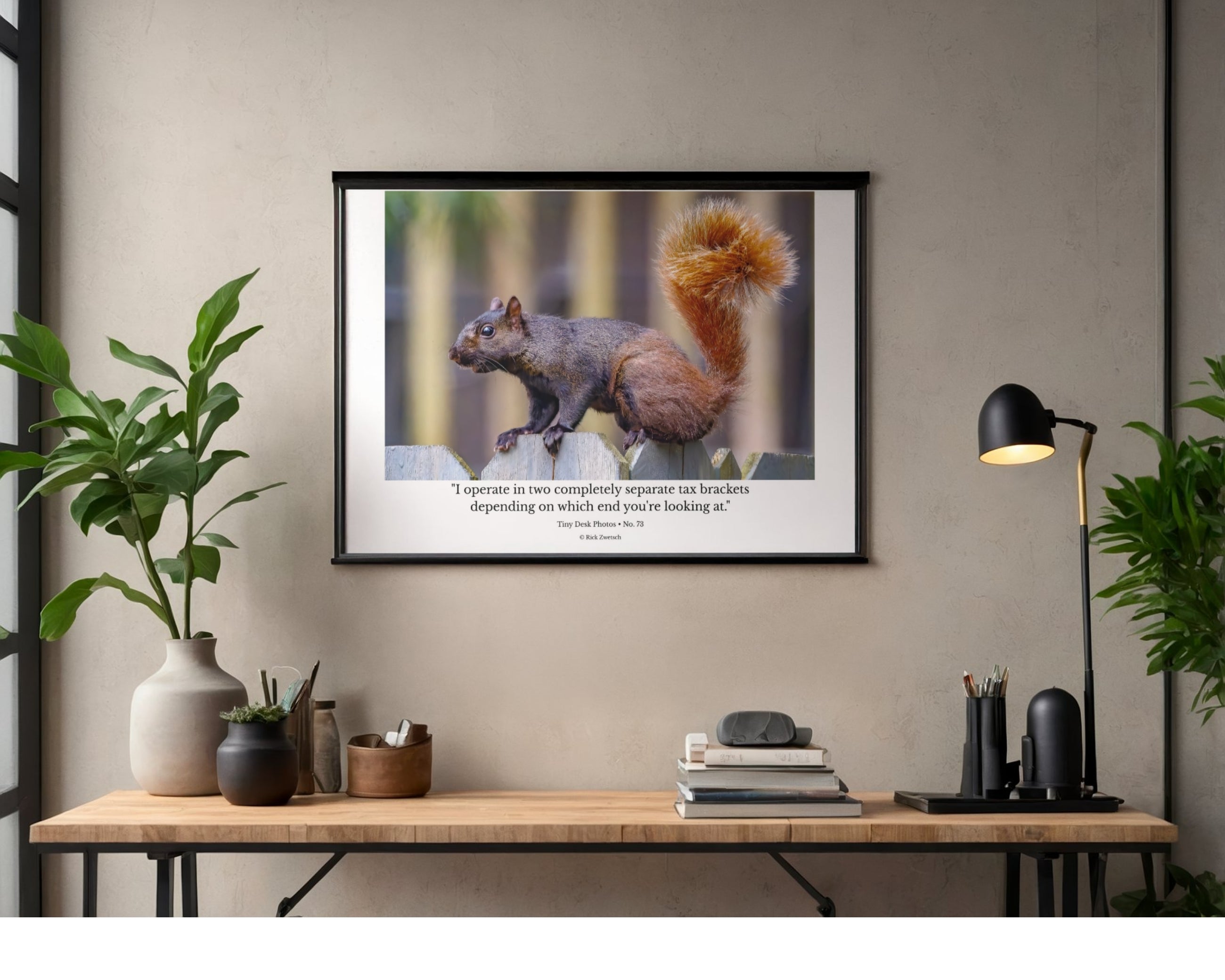 Fox Squirrel Fence Perch Wildlife Photography Print | Tiny Desk Photos No. 73