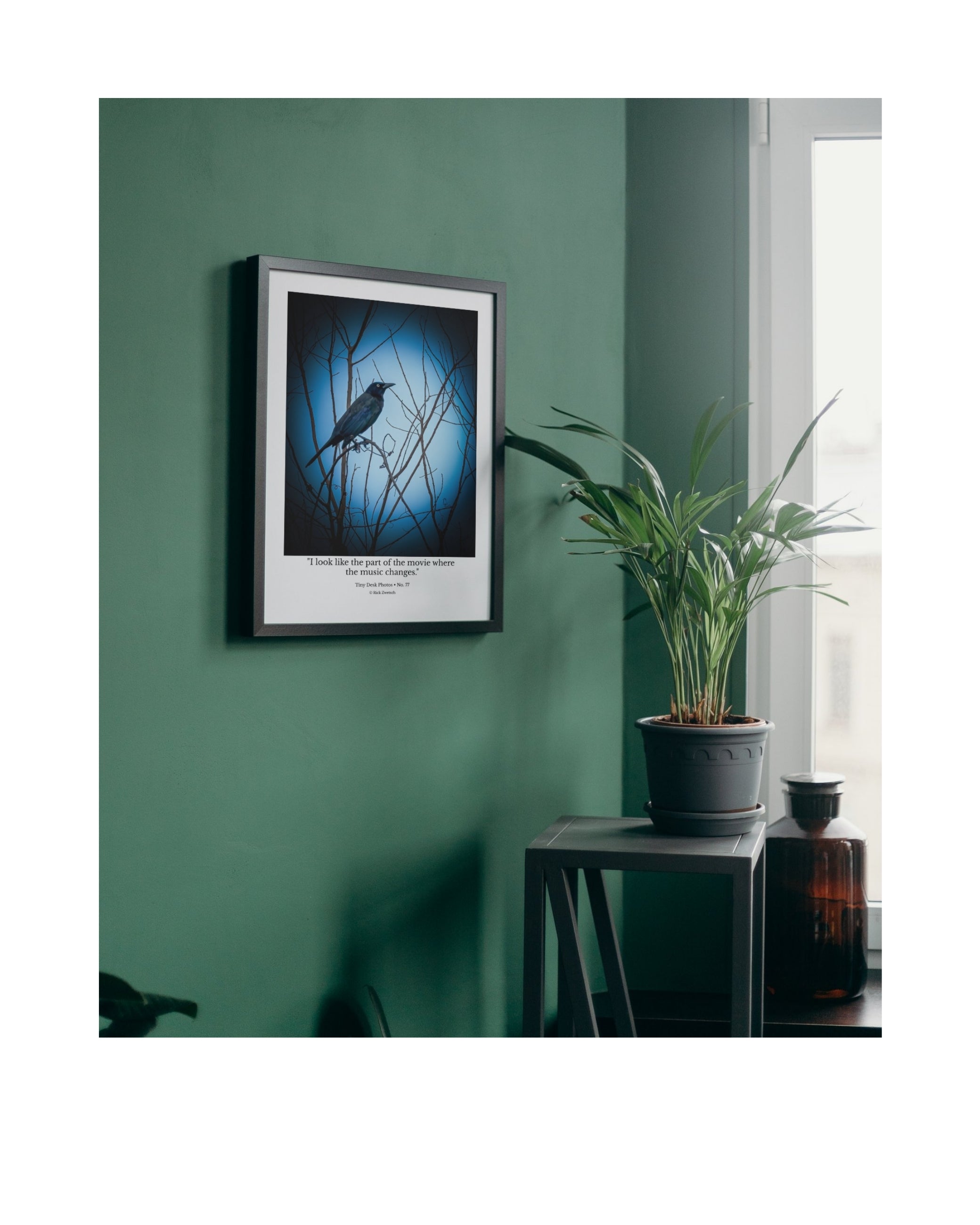 Common Grackle Perched Silhouette Wildlife Photography Print | Tiny Desk Photos No. 77