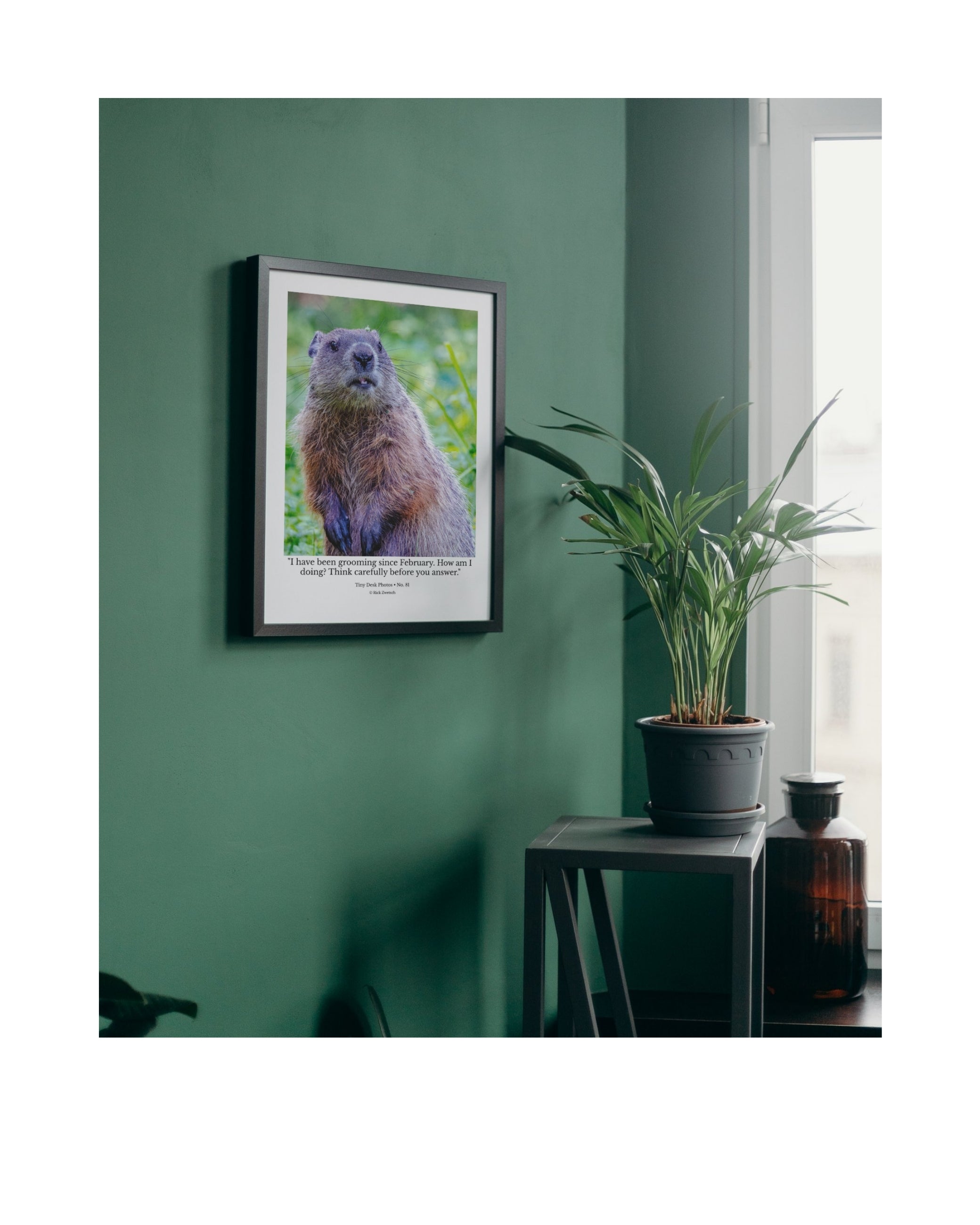 Groundhog Upright Portrait Wildlife Photography Print | Tiny Desk Photos No. 81