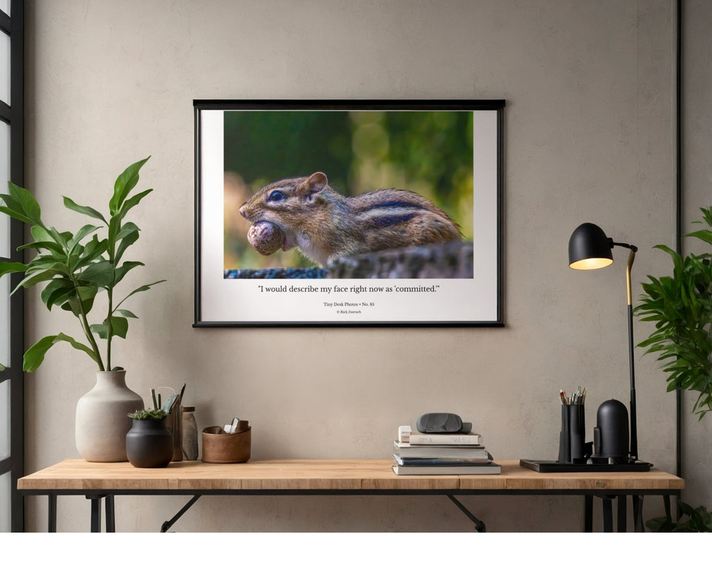 Eastern Chipmunk Carrying Nut Side Profile Wildlife Photography Print | Tiny Desk Photos No. 85