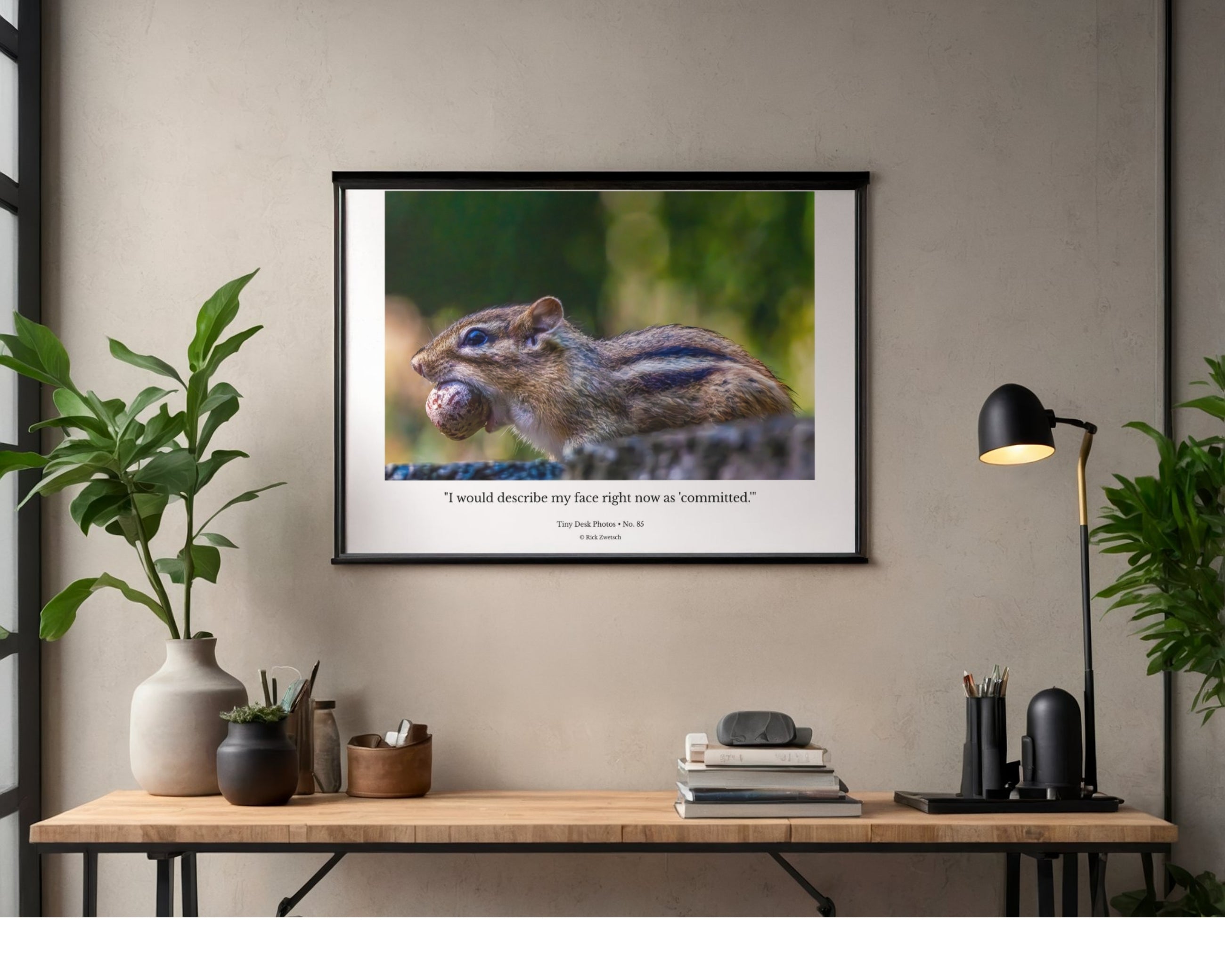 Eastern Chipmunk Carrying Nut Side Profile Wildlife Photography Print | Tiny Desk Photos No. 85