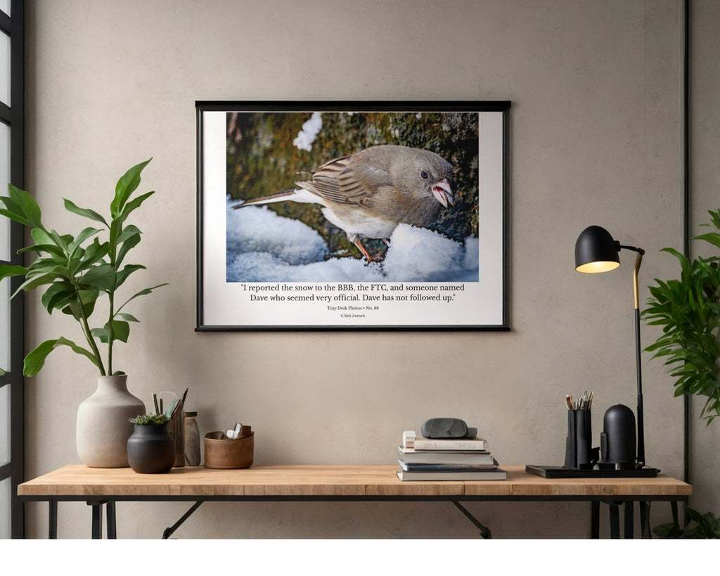 Dark-Eyed Junco in Snow Wildlife Photography Print | Tiny Desk Photos No. 88