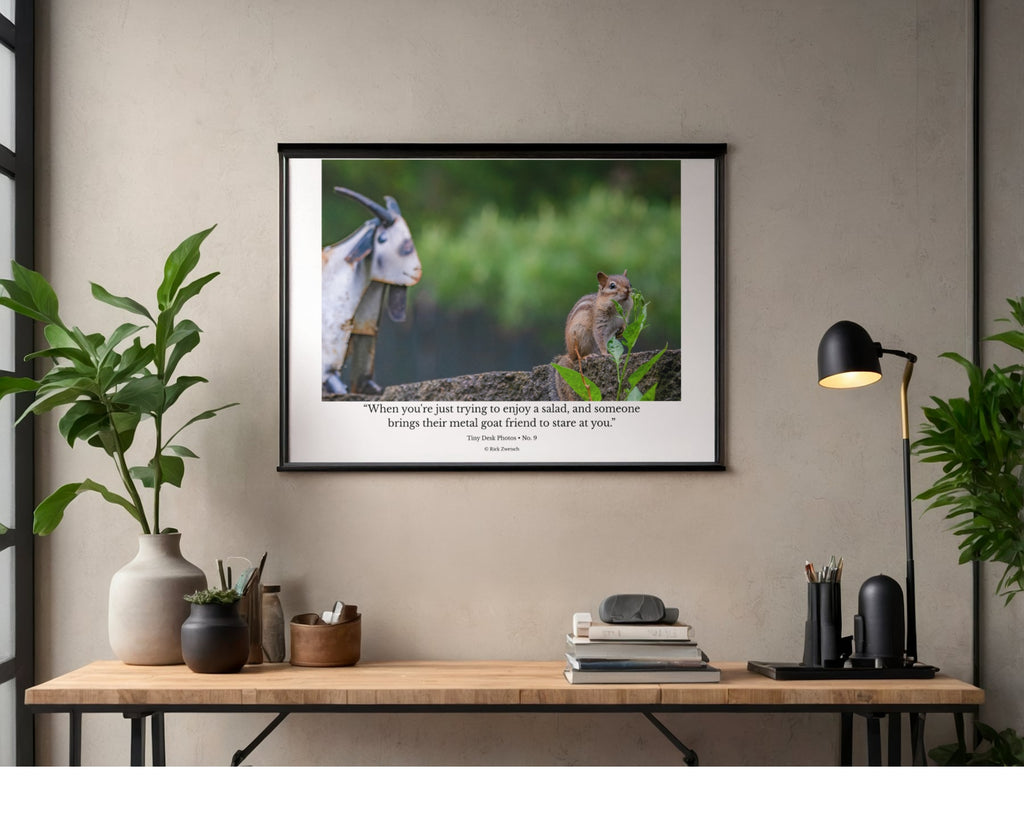 Tiny Desk Photos • No. 9 | Eastern Chipmunk | Intrusion