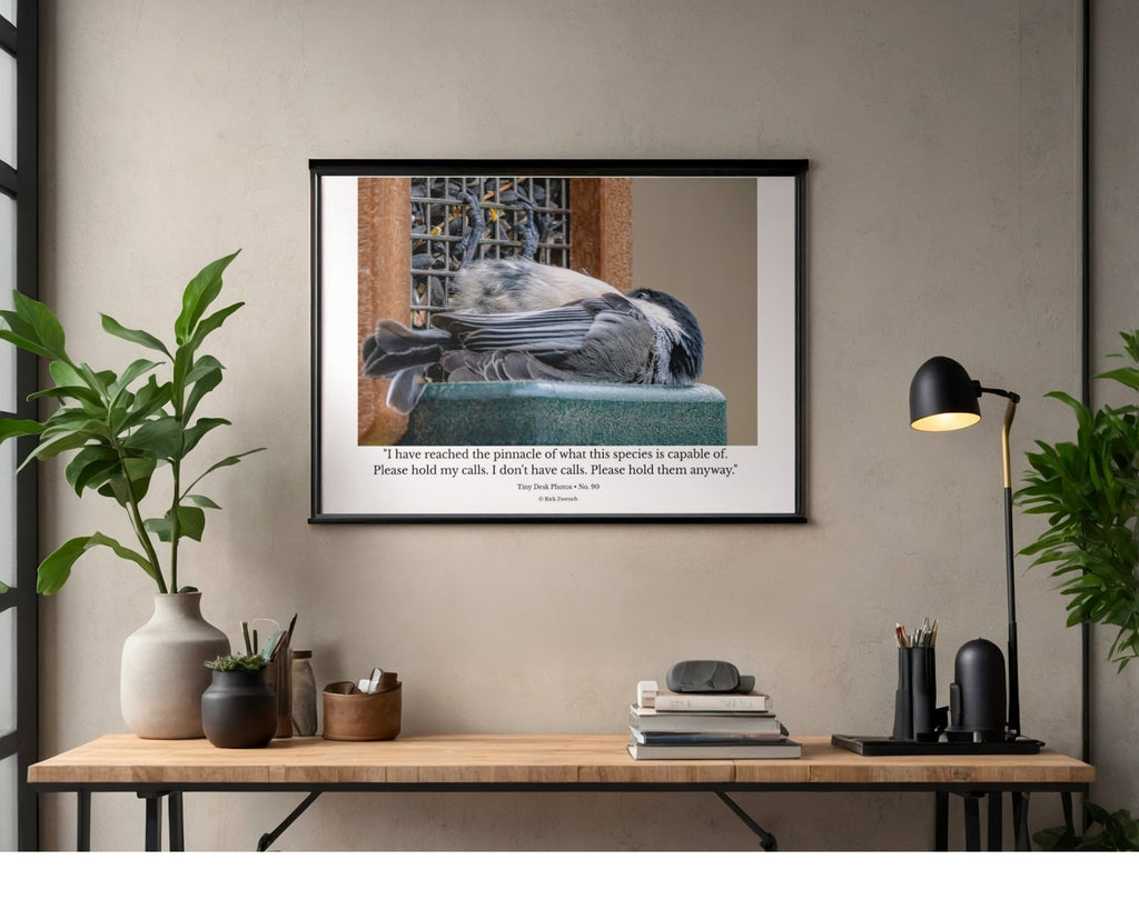 Black-Capped Chickadee at Feeder Wildlife Photography Print | Tiny Desk Photos No. 90