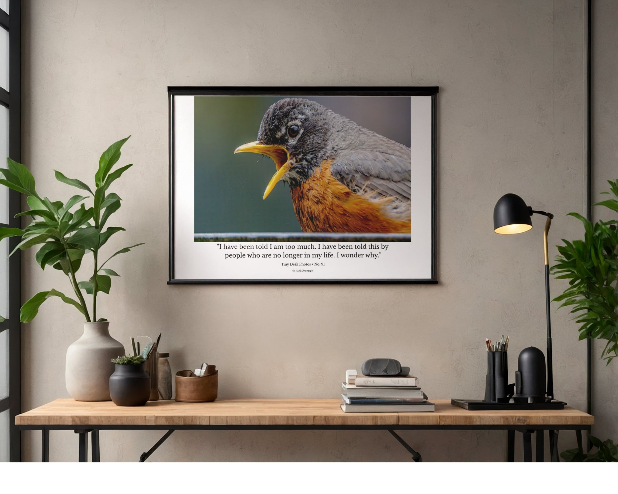 American Robin Close-Up Portrait Wildlife Photography Print | Tiny Desk Photos No. 91