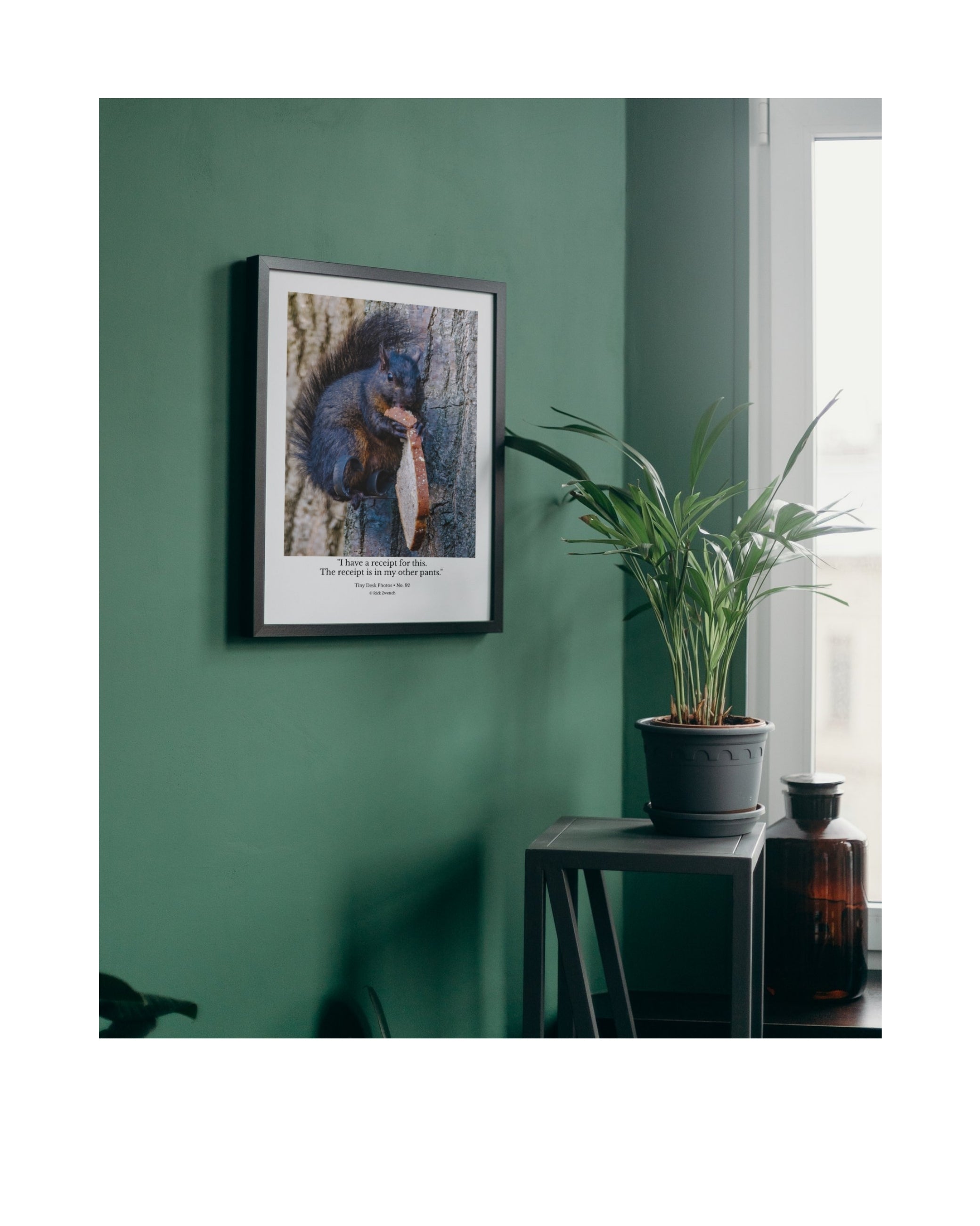 Fox Squirrel with Bread Wildlife Photography Print | Tiny Desk Photos No. 92