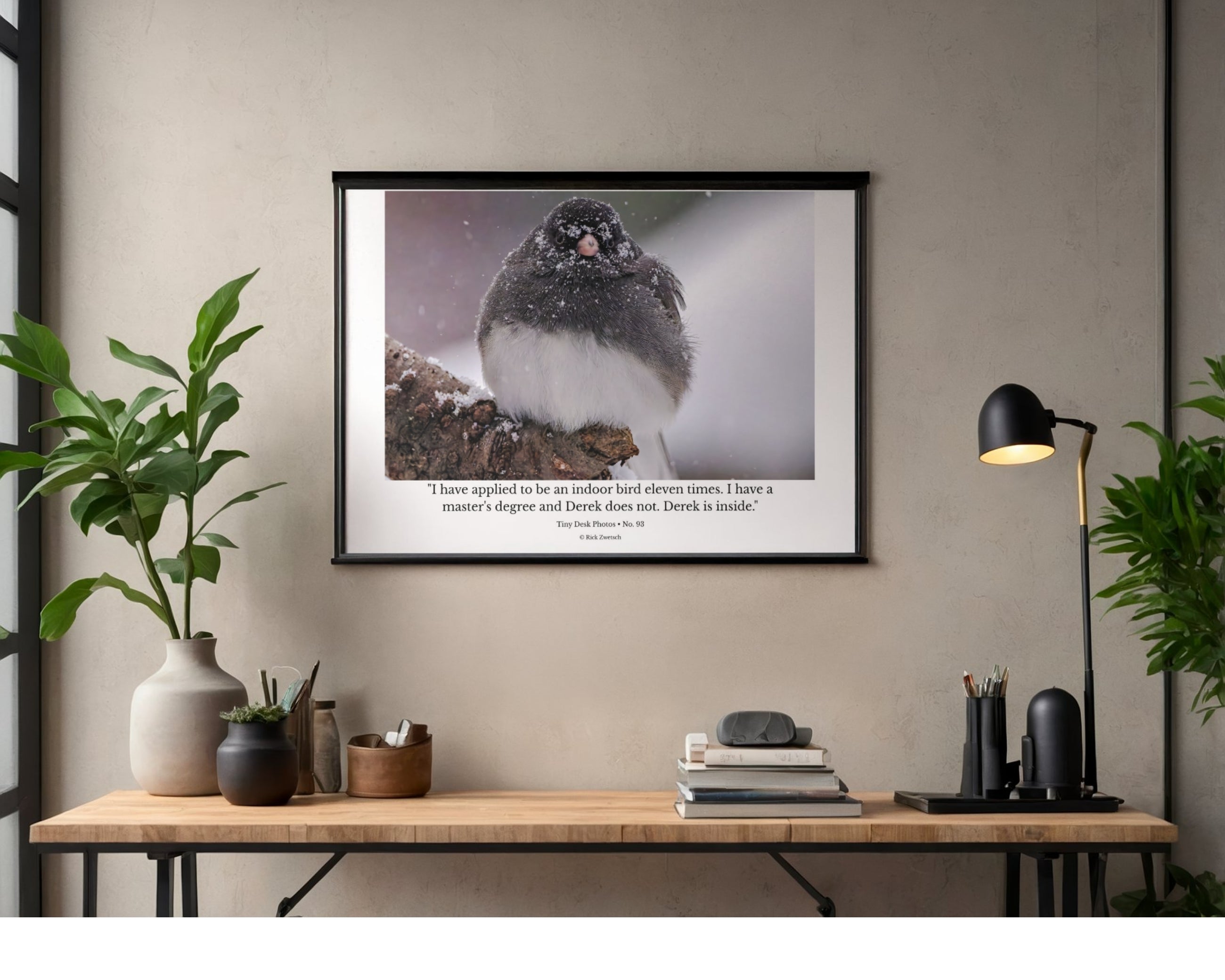 Dark-Eyed Junco in Snow Wildlife Photography Print | Tiny Desk Photos No. 93