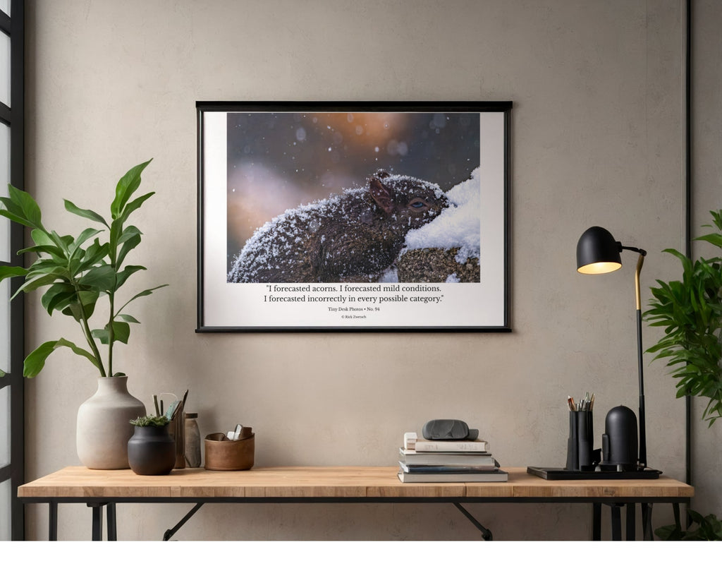 Fox Squirrel in Snow Wildlife Photography Print | Tiny Desk Photos No. 94
