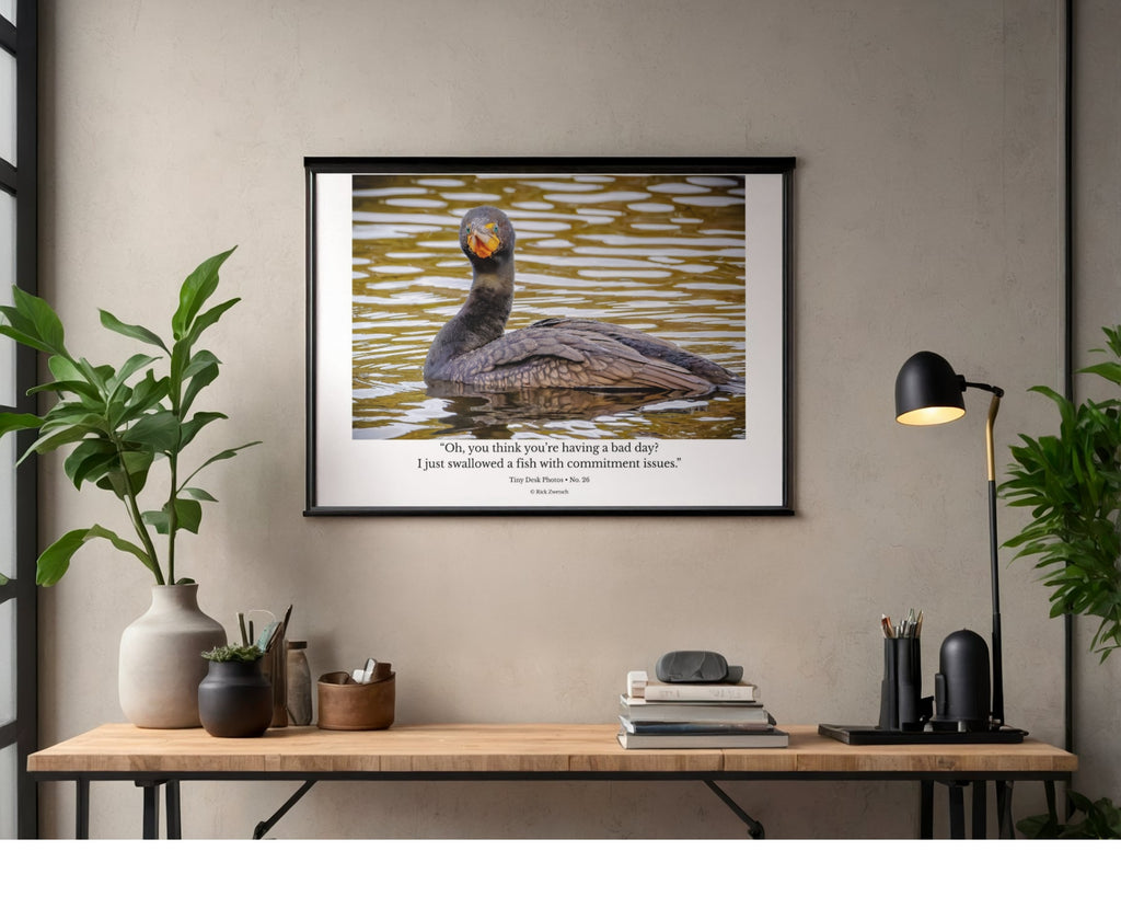 Double-crested Cormorant Wildlife Photography Print | Tiny Desk Photos No. 26