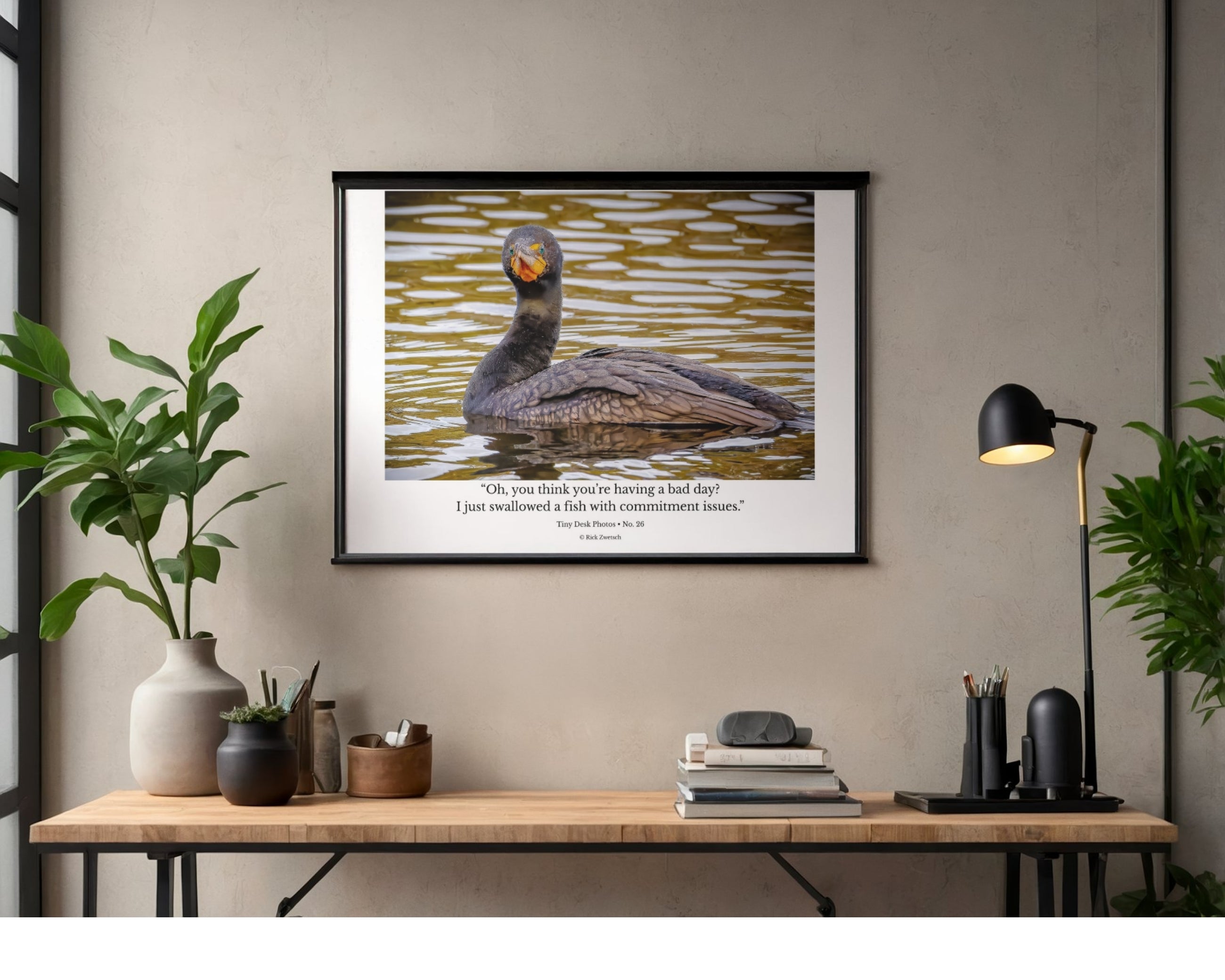 Double-crested Cormorant Wildlife Photography Print | Tiny Desk Photos No. 26
