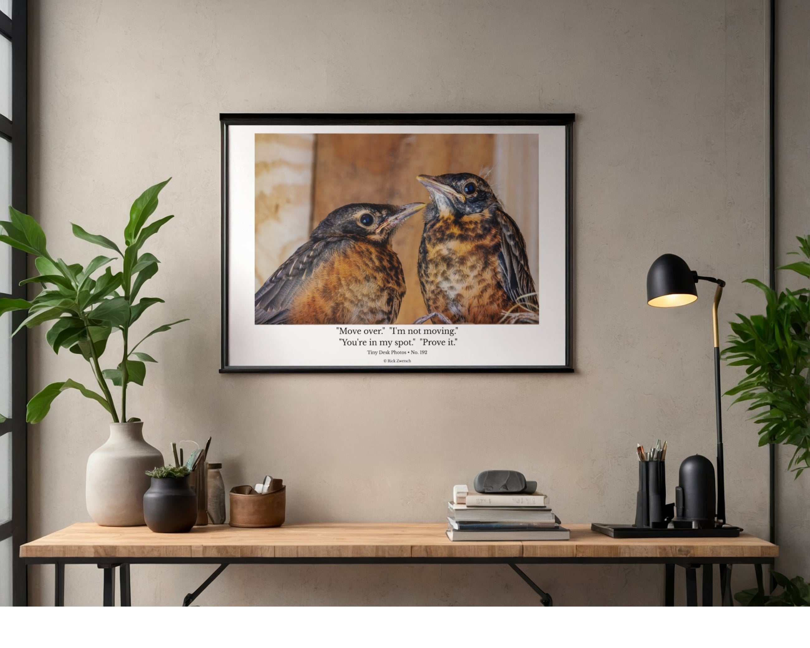 American Robin Fledglings Wildlife Photography Print | Tiny Desk Photos No. 192