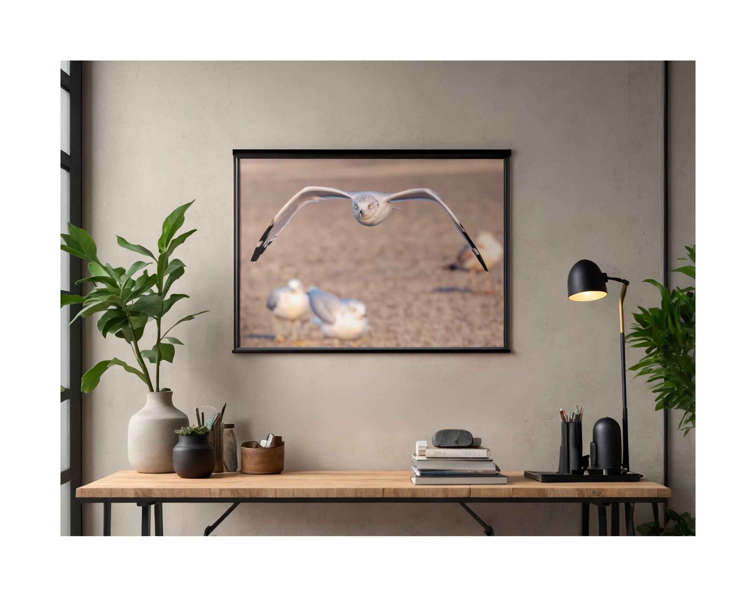 Tiny Desk Photos • No. 1 | Ring-billed Gull | Determination